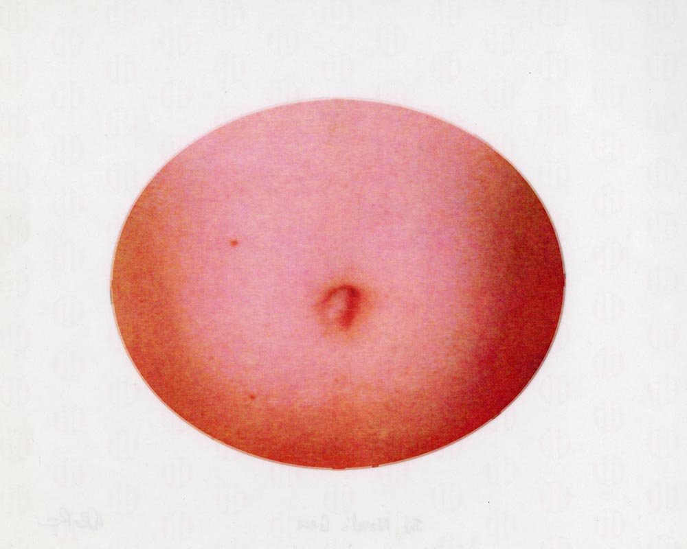 The Navel's Gaze - David LaRiviere