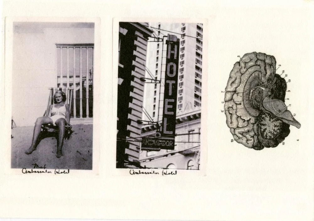 Tell Me About Your Mother (Woman, Hotel, Brain) - Ian Forbes