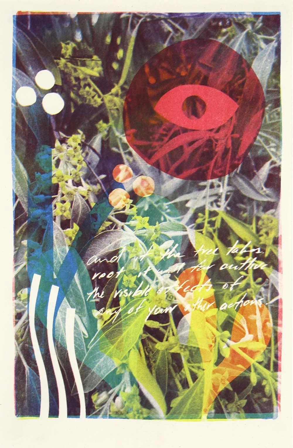 Riso