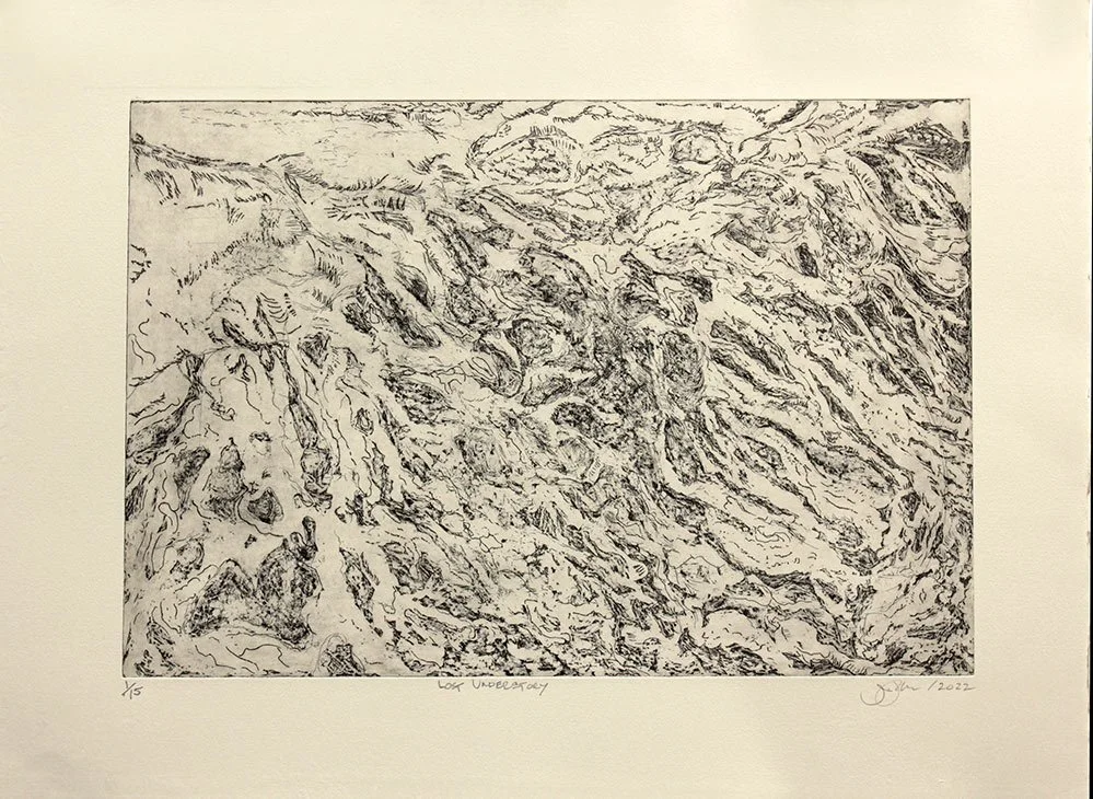 Lost Understory  by Justine  Jenkins