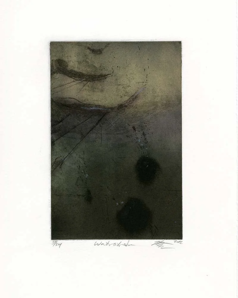 Waterstrider - Kelsey Stephenson