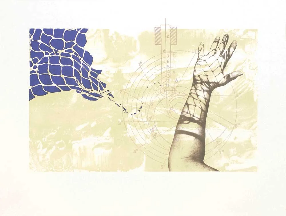 Your Net is a Shadow I No Longer Fear - Cathie Kayser