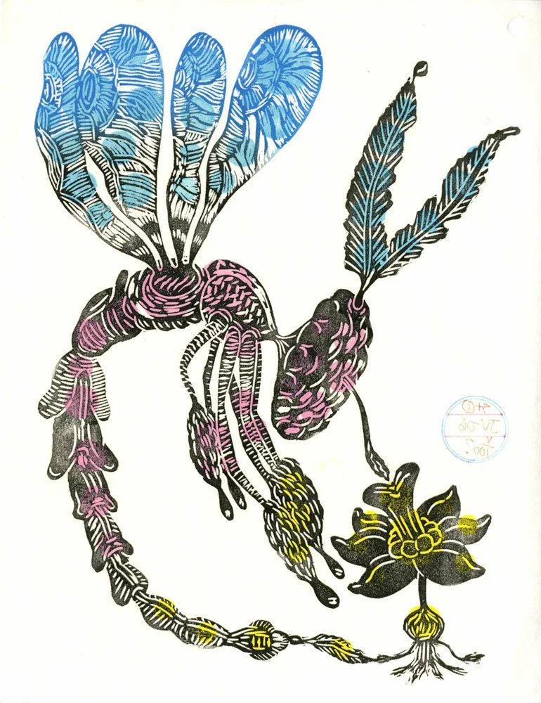 Daffodils Pucker-Up Until the Air Goes Soft - Julie Voyce