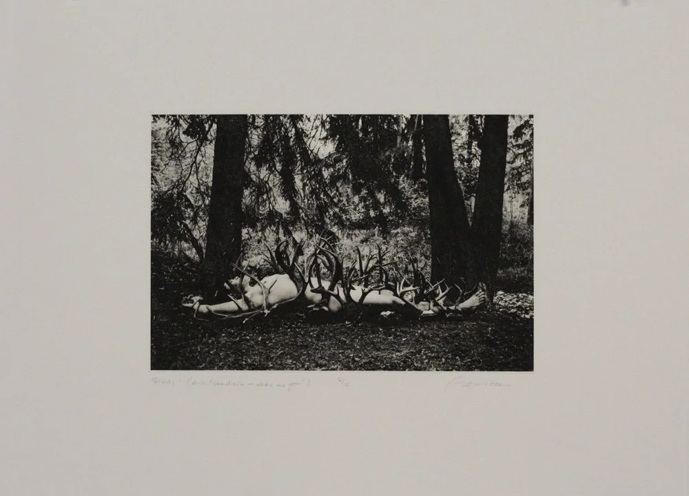 Study 1 (Ana Mendieta - where are you?) - Helen Gerritzen