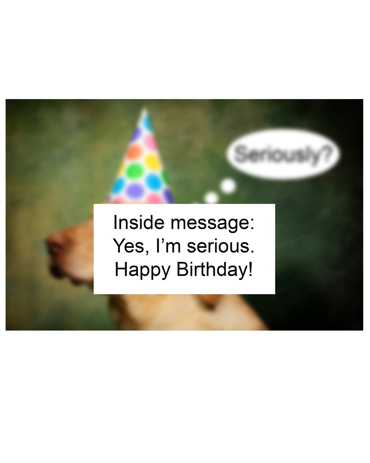 Seriously inside.jpg