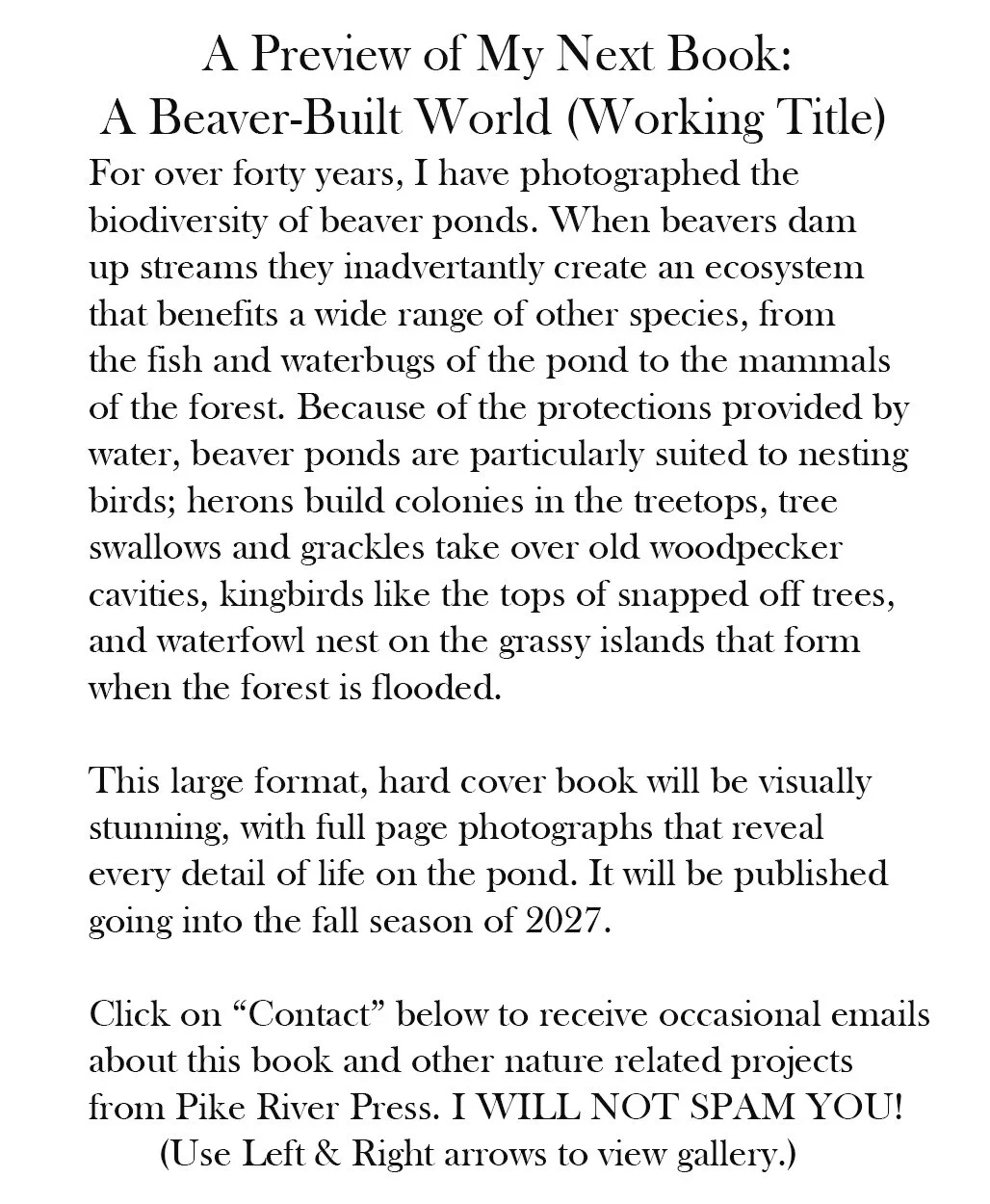 Next book email request.jpg