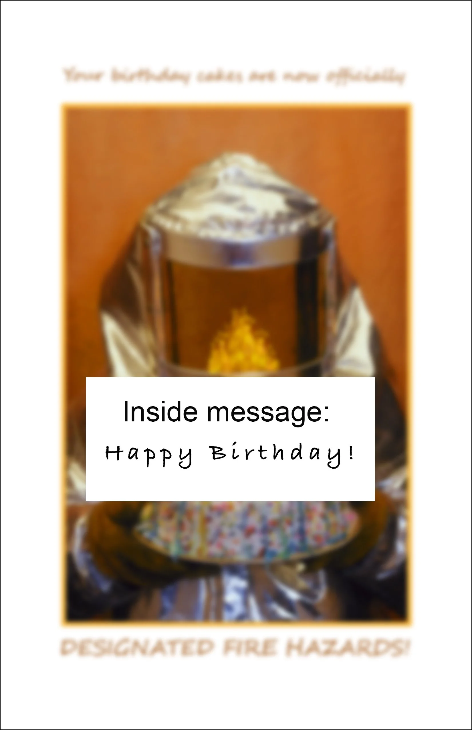 Designated Fire Hazardinside.jpg