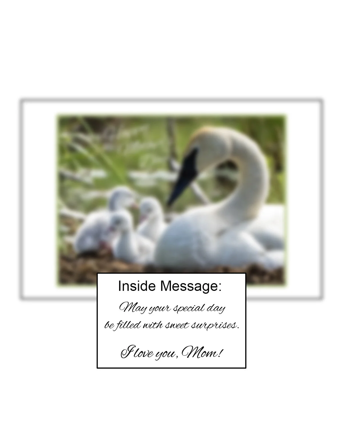 Sweet surprises INSIDE.jpg