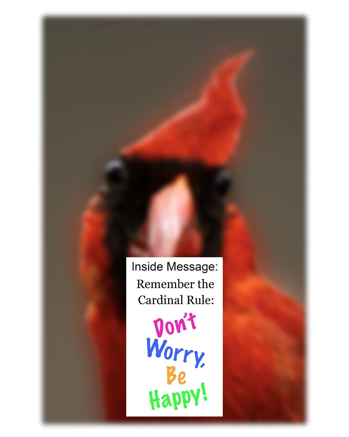 Cardinal RuleINSIDE.jpg