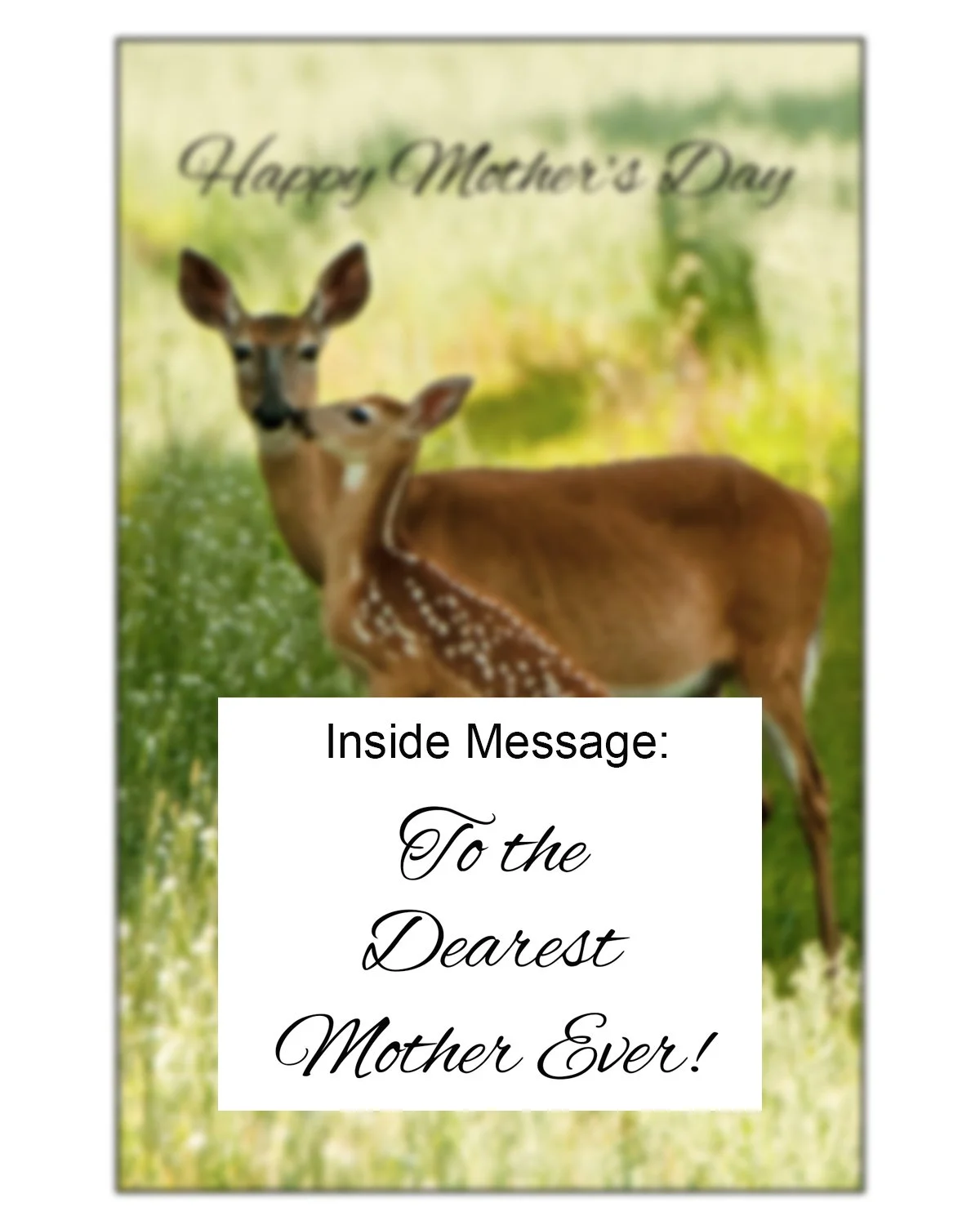 Fawn Kiss INSIDE.jpg