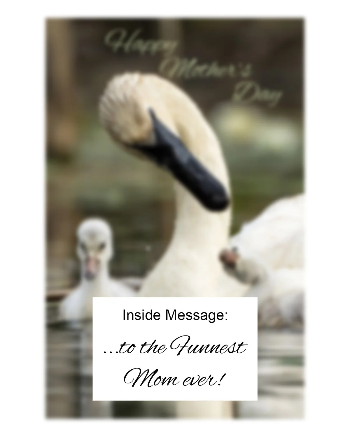 Funnest Mom INSIDE.jpg