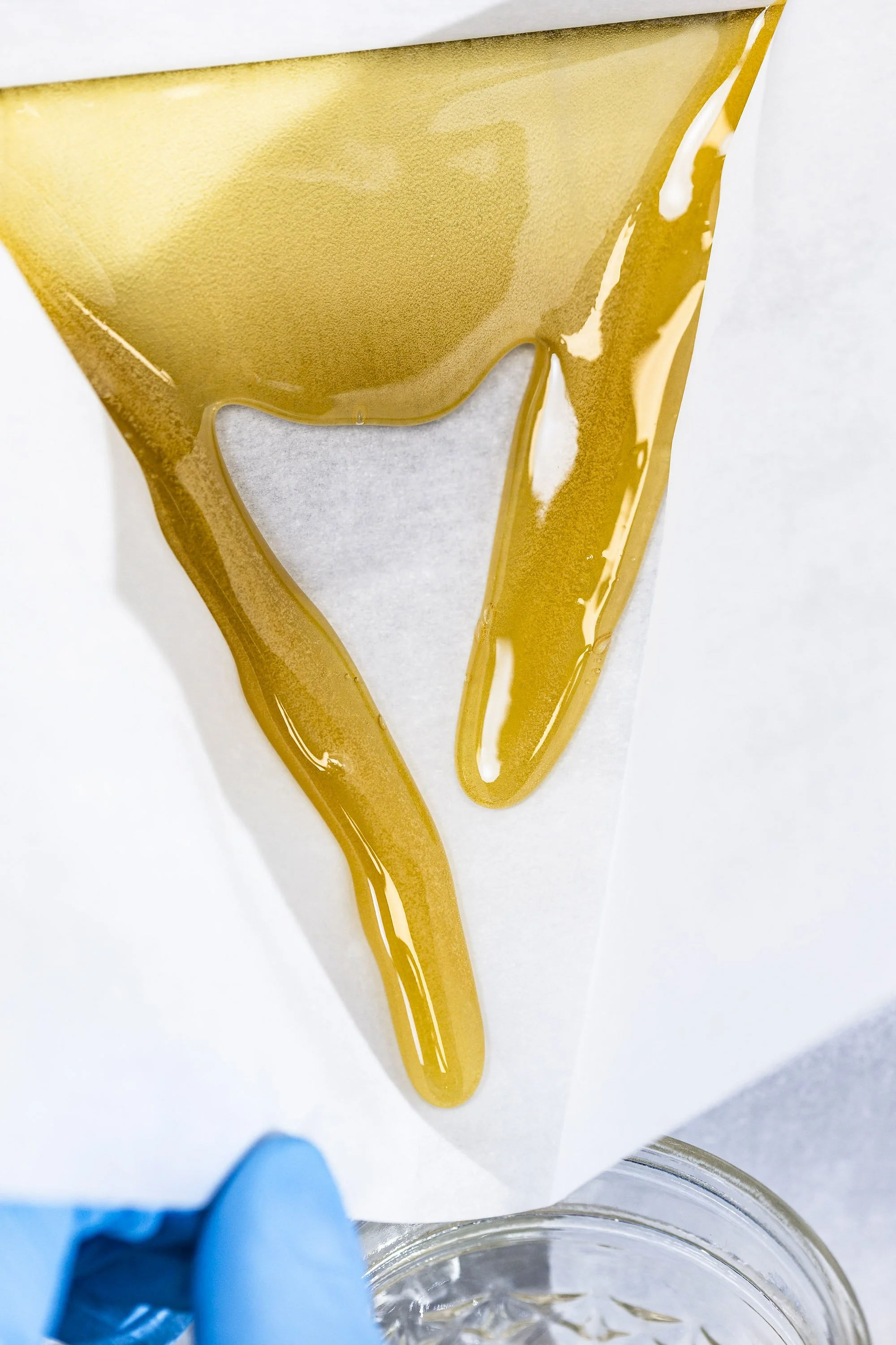 0043_0005_250116_Motley Terpz_5760.jpg.JPG