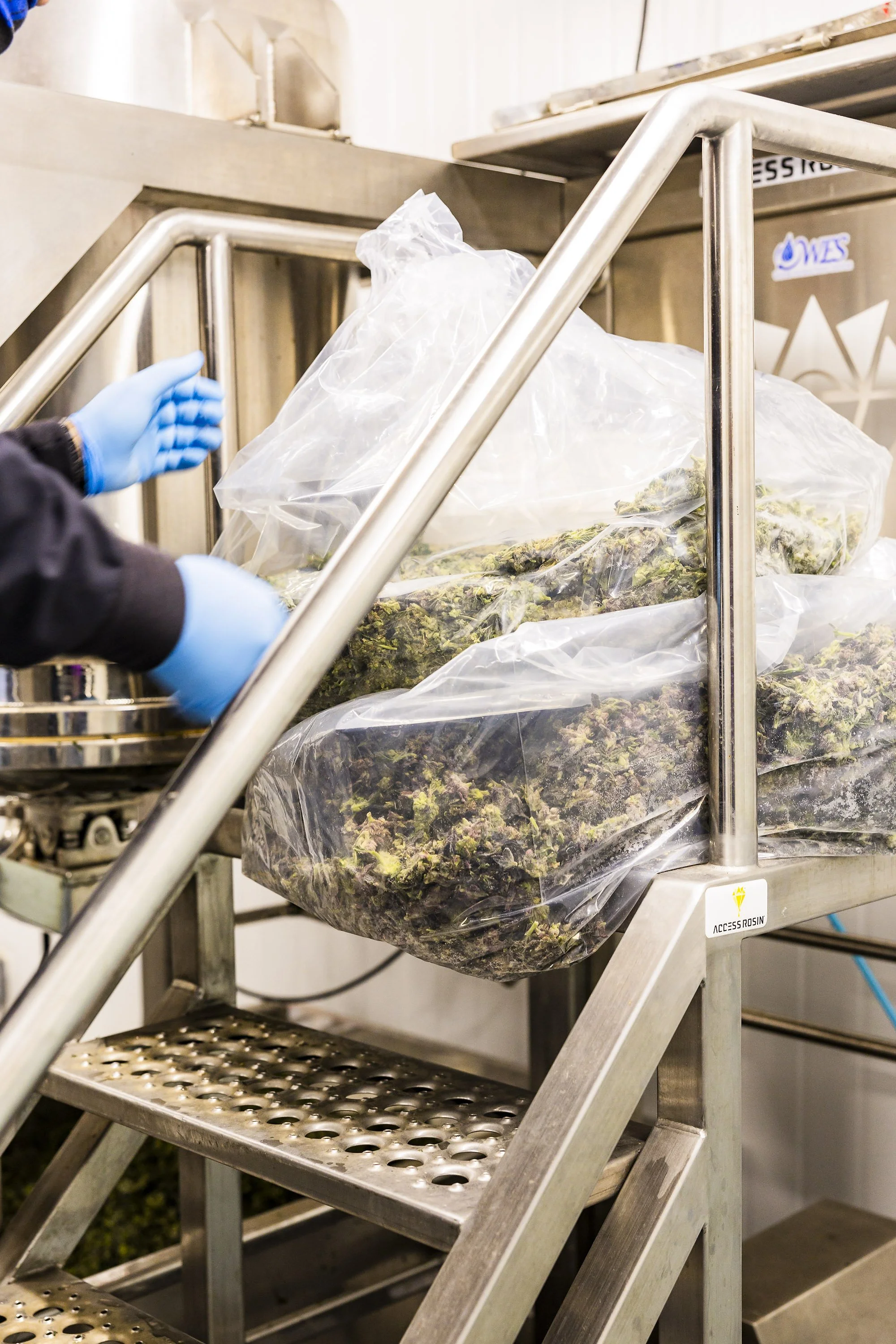 0079_250116_Motley Terpz_5875.jpg