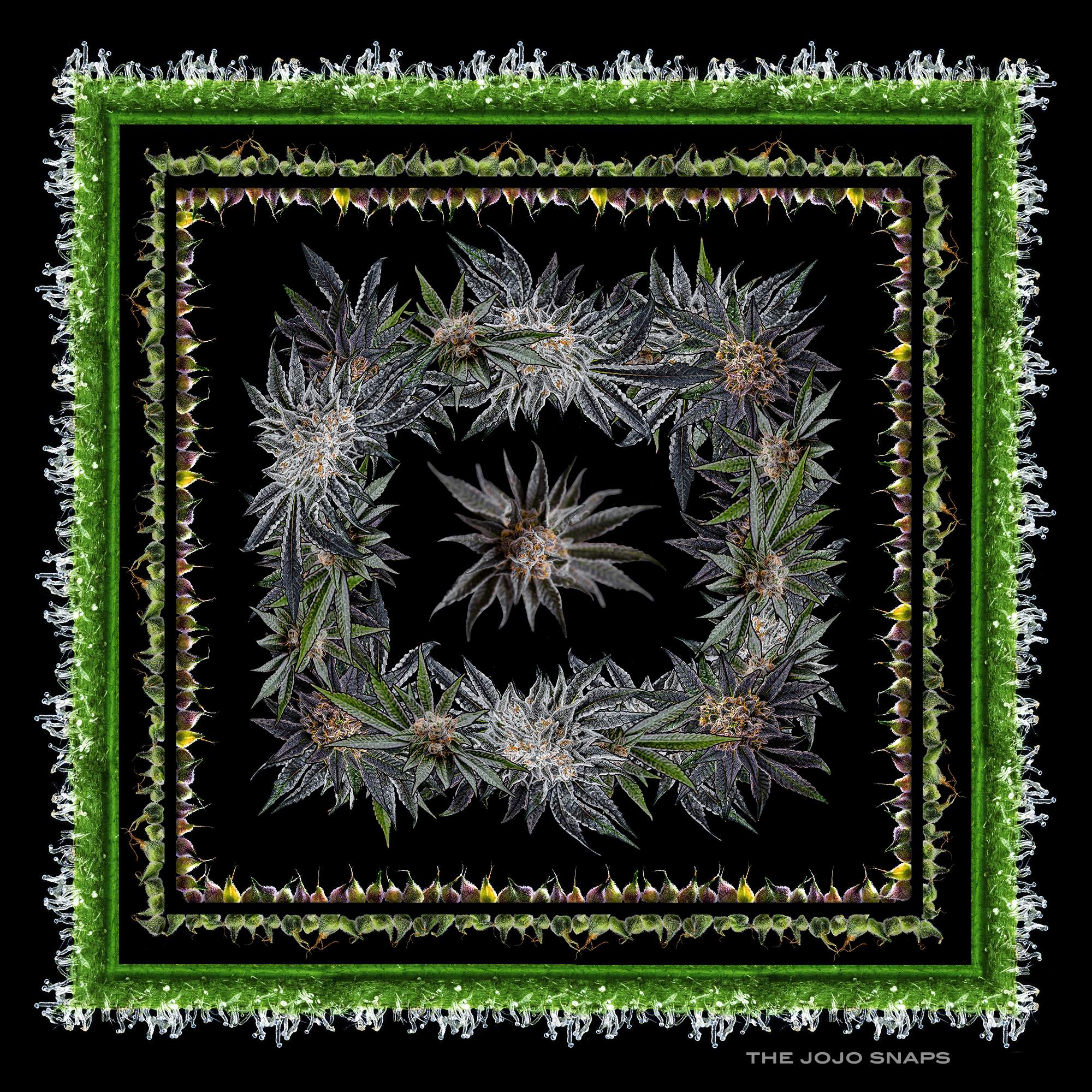 SquareFrame_2_40x40sm.png