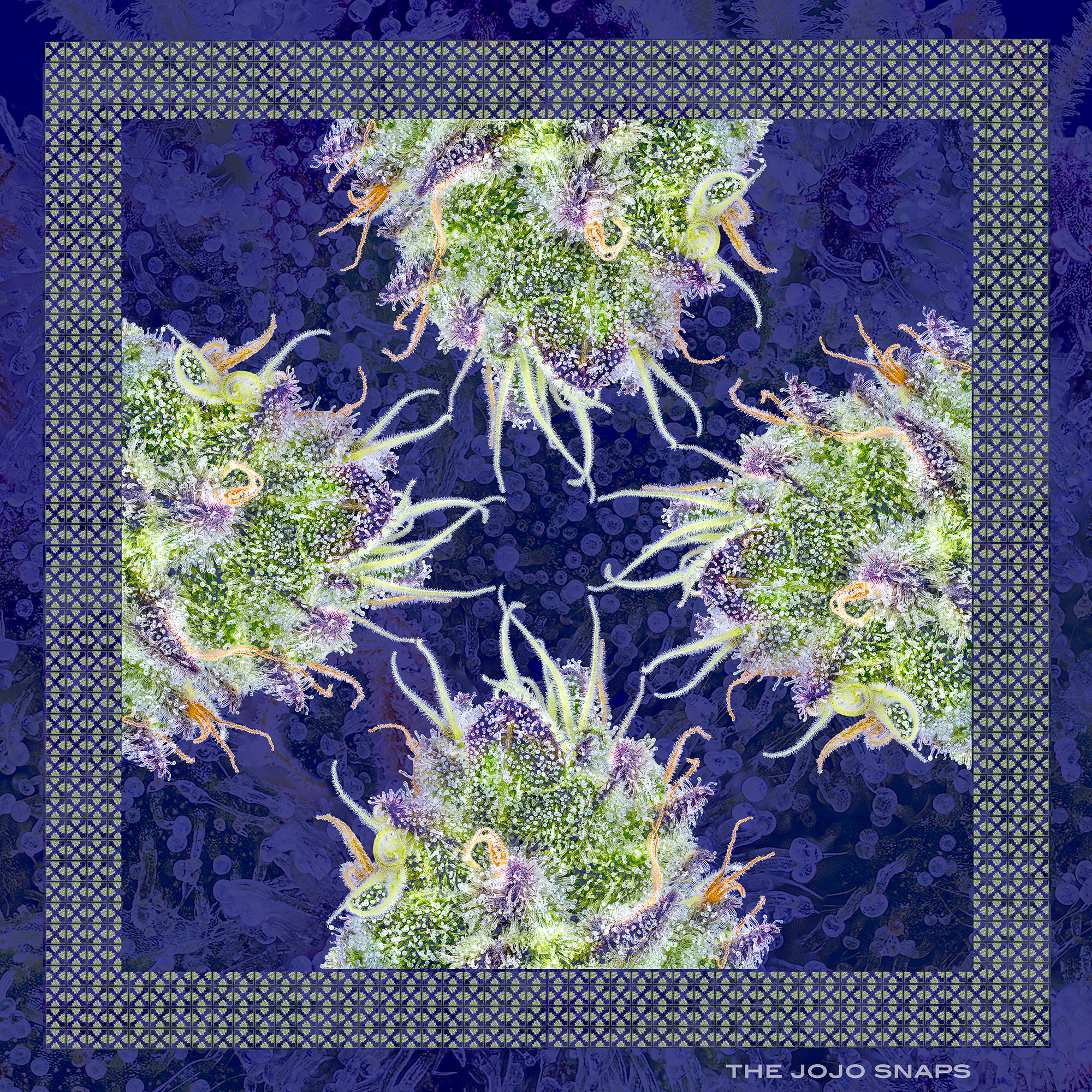 Scarf_BlueEyecopysm.png