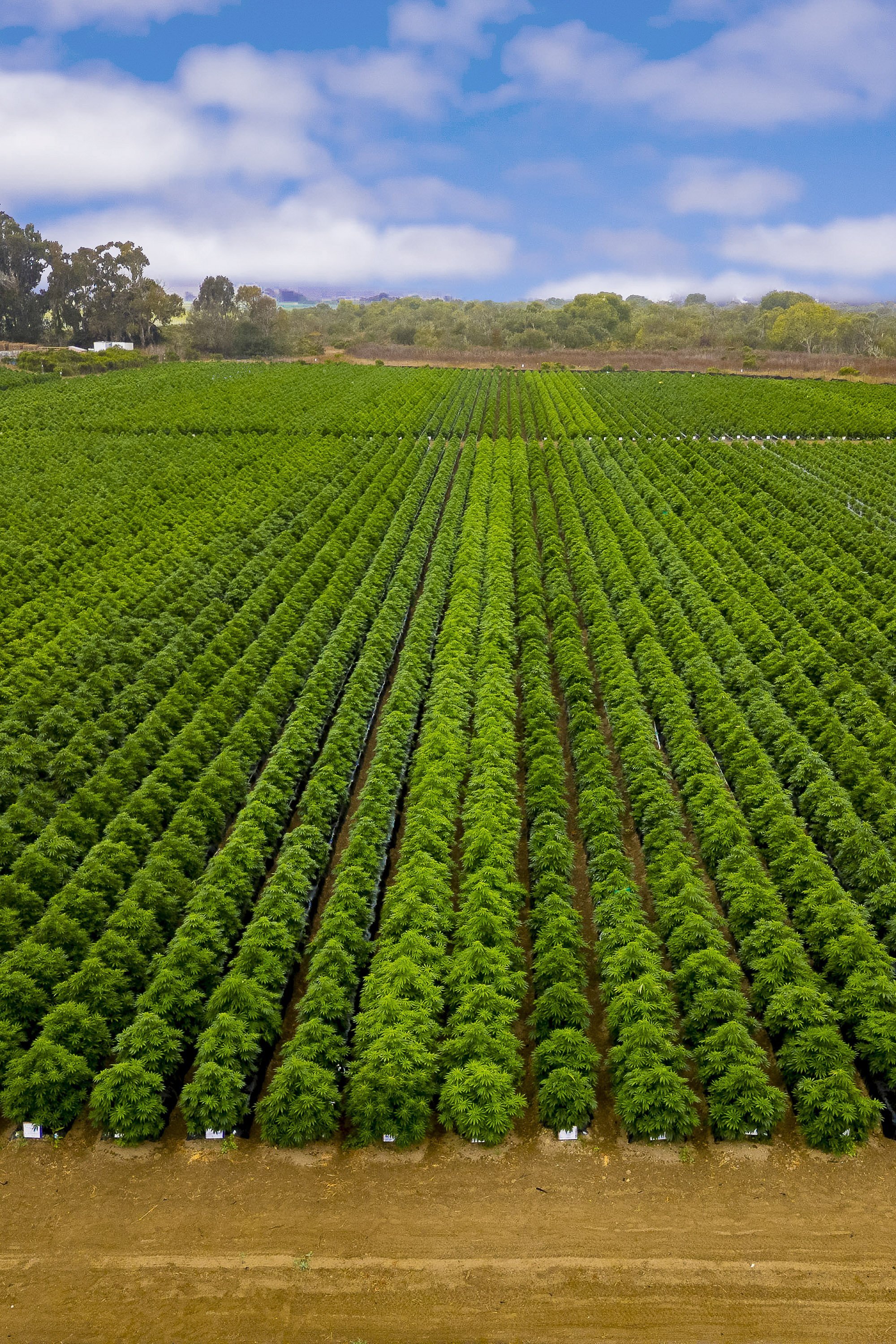 0093_0076_DJI_0307-2.jpg.JPG