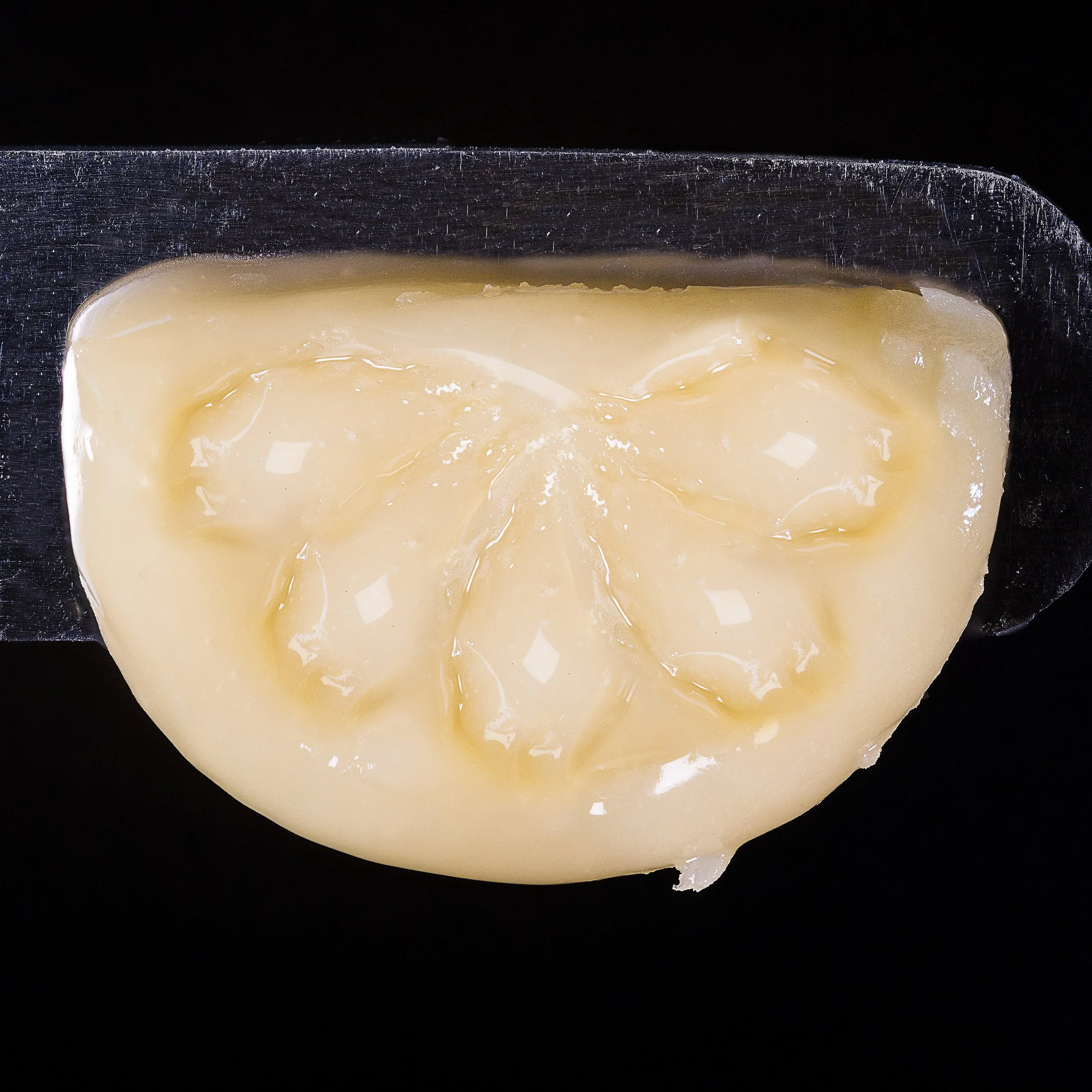 0380_0057_2024-12-15 12-35-38 (B,R8,S4).JPG.JPG