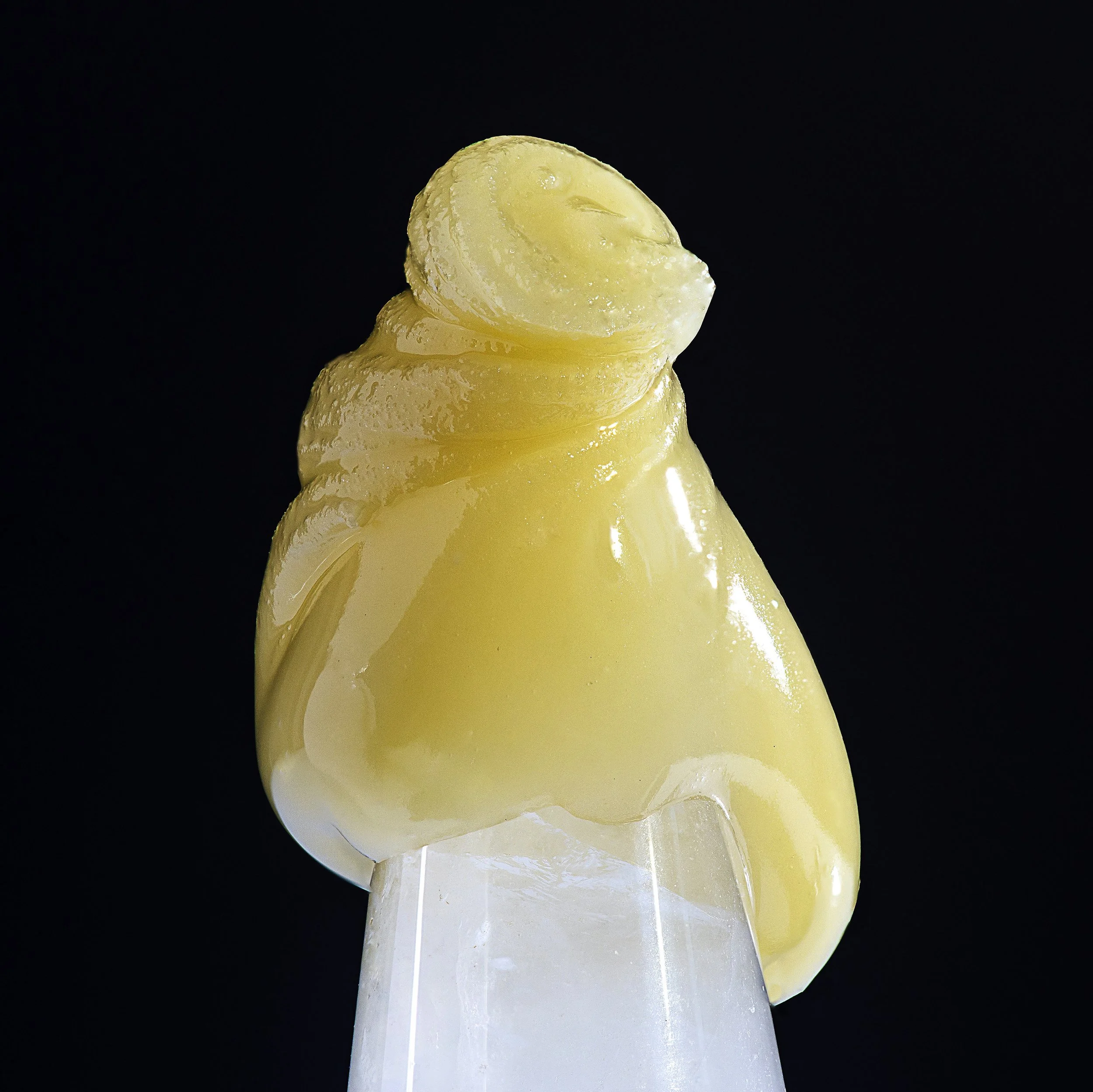 0353_0046_ 2024-08-09 19-35-25 (B,R8,S4) copy.JPG.JPG