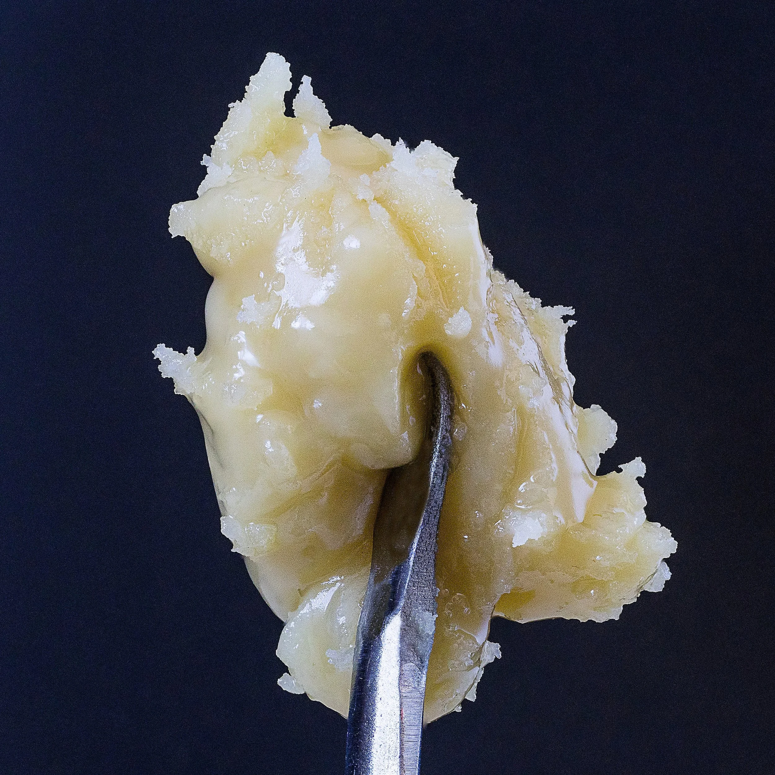 0424_0054_2024-12-10 15-20-17 (B,R8,S4).JPG.JPG