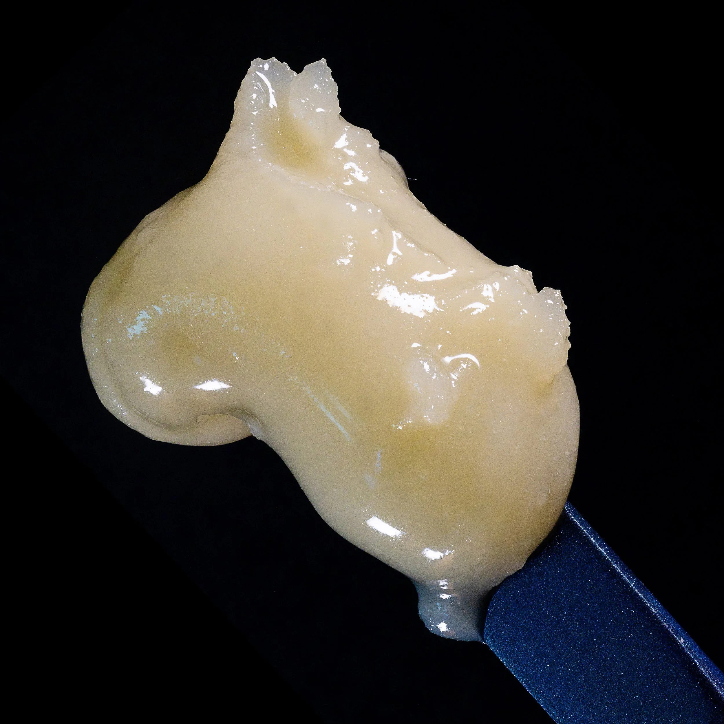 0368_0089_Runtz Cake_2025-02-13 16-35-02 (B,R8,S4)-1.JPG.JPG.JPG