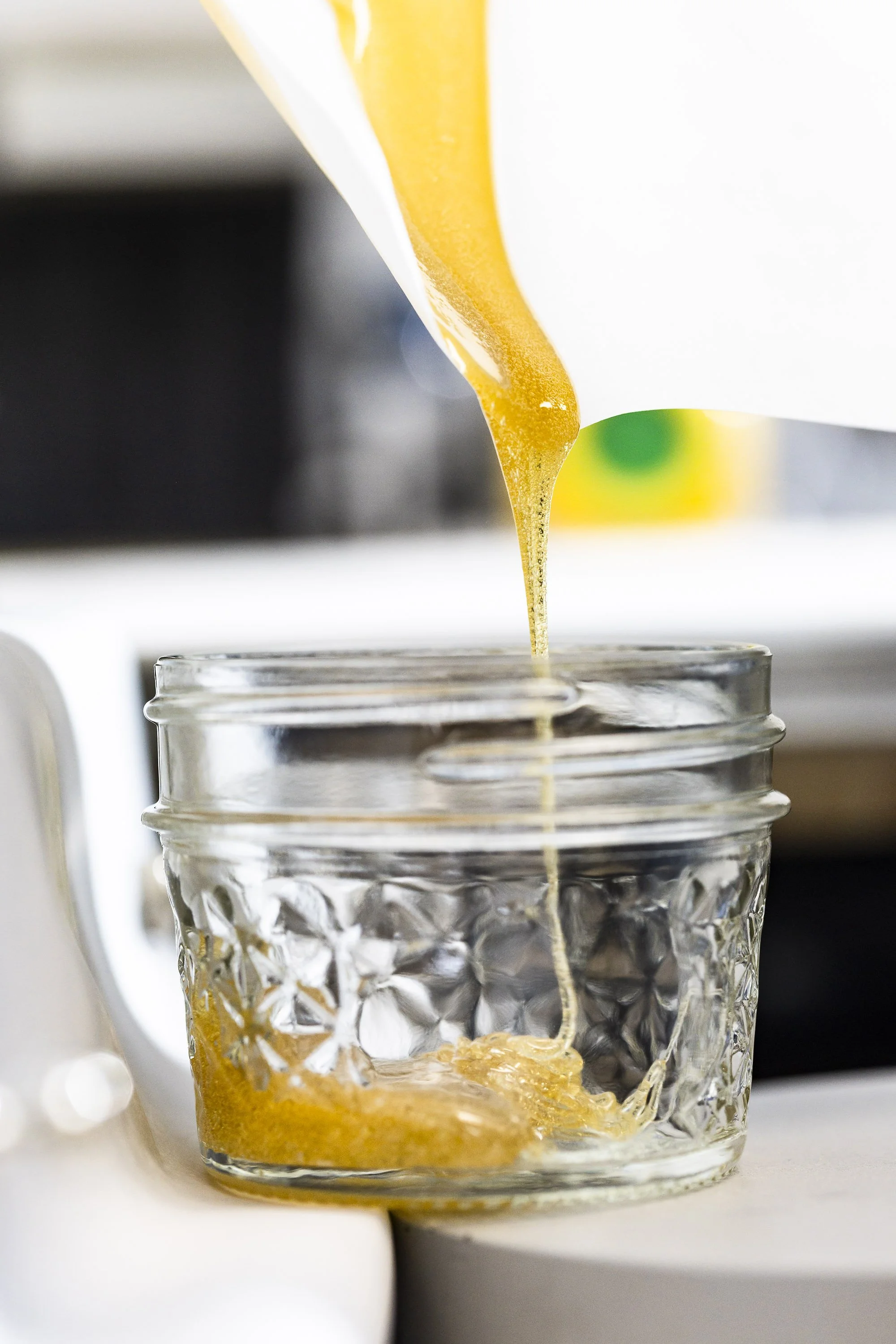 0033_250116_Motley Terpz_5812.jpg