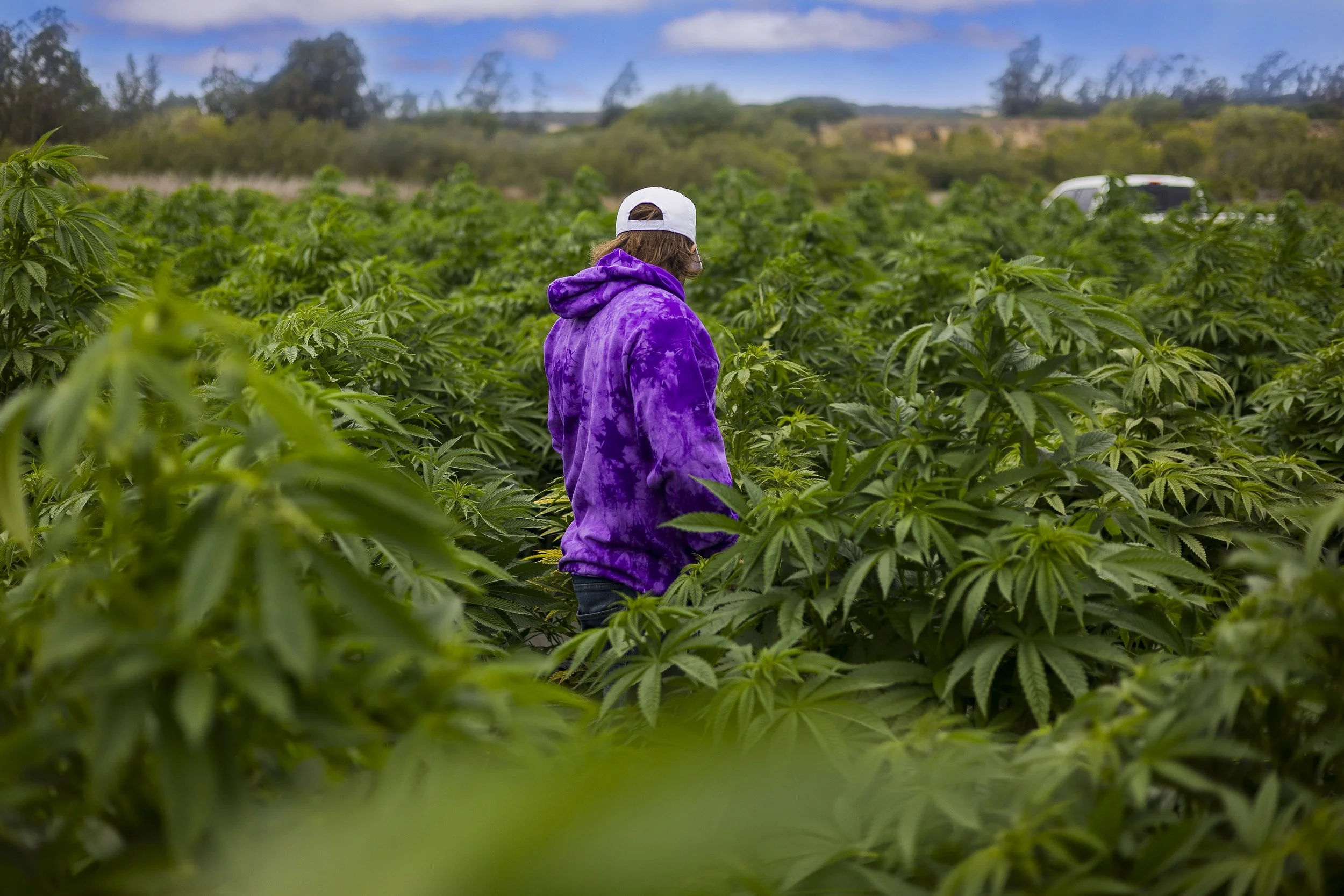 0118_250814_Motley SB_6648 copy.jpg