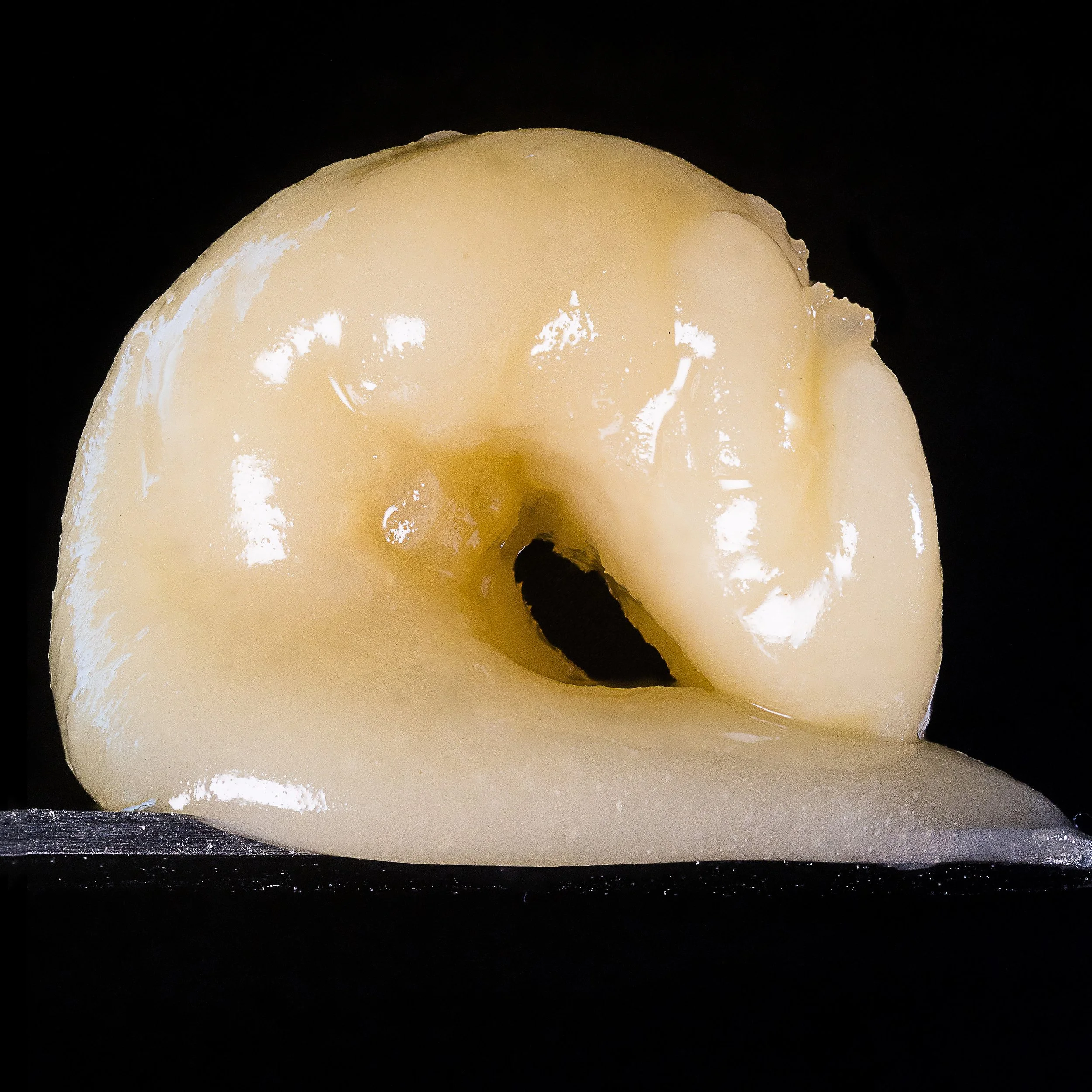 0425_0055_2024-12-14 14-49-36 (B,R8,S4).JPG.JPG