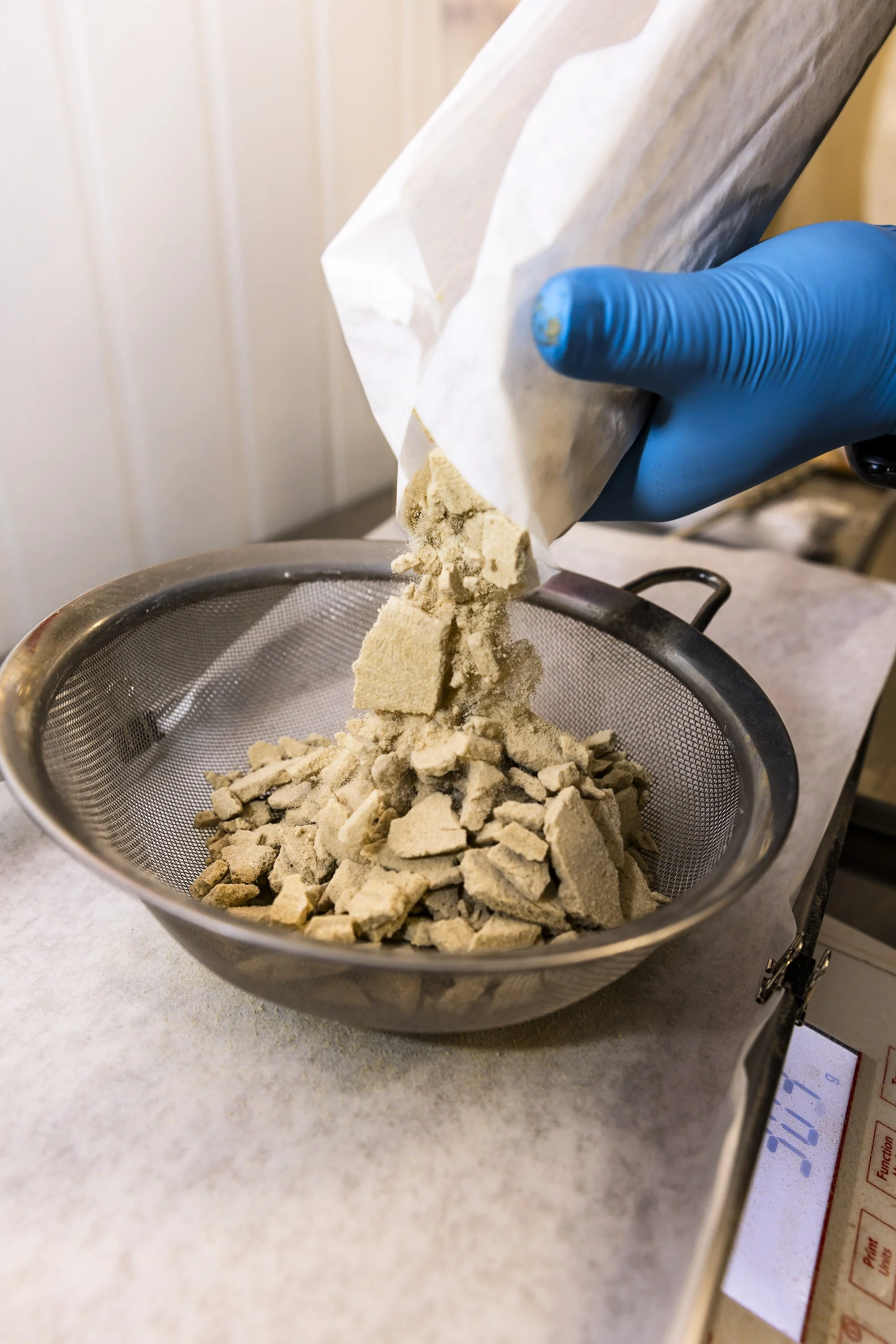 0073_250116_Motley Terpz_5599.jpg