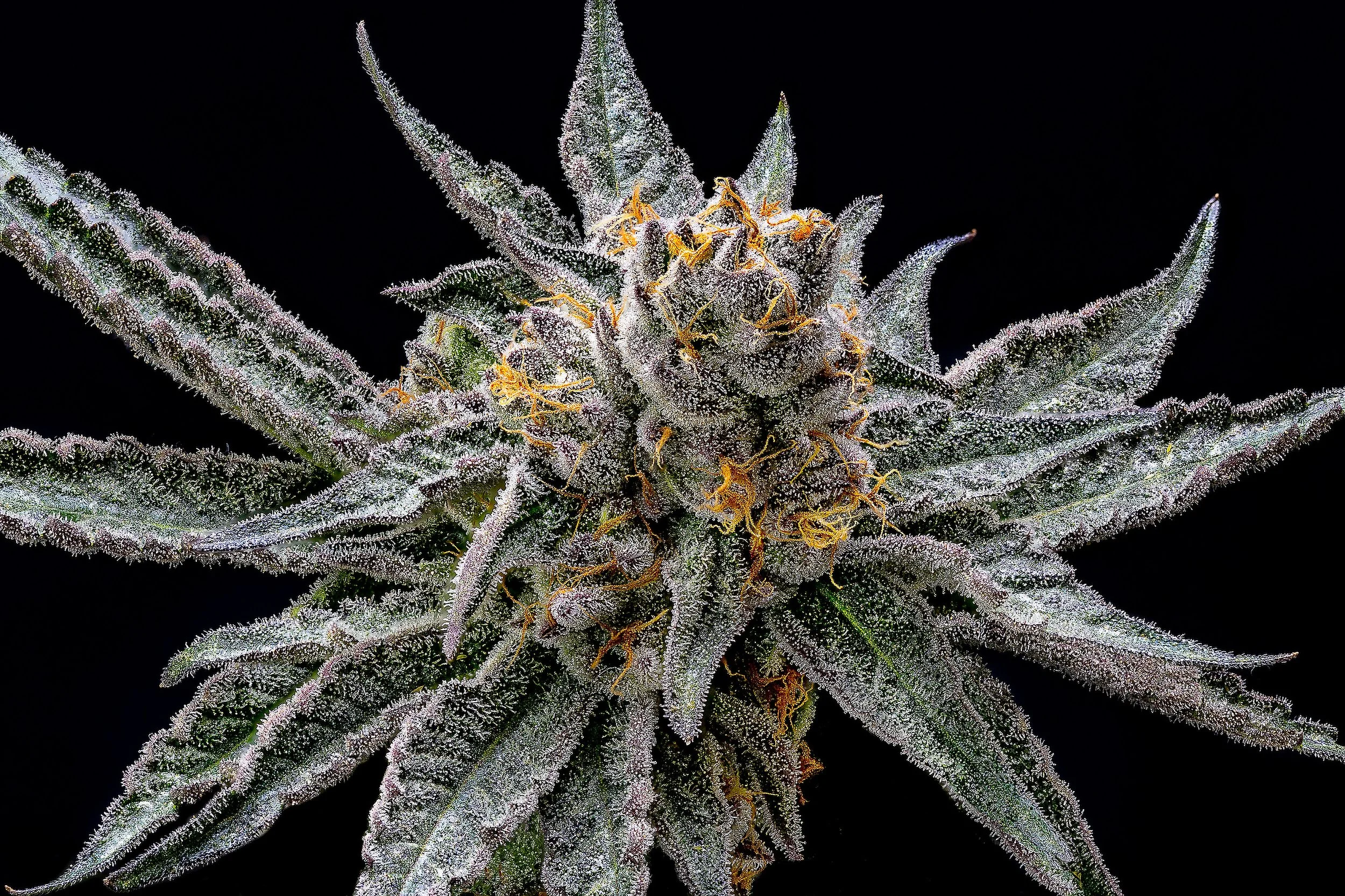 0366_0204_TM_2023-04-08 09-34-09 (B,R8,S4)-1.JPG.JPG