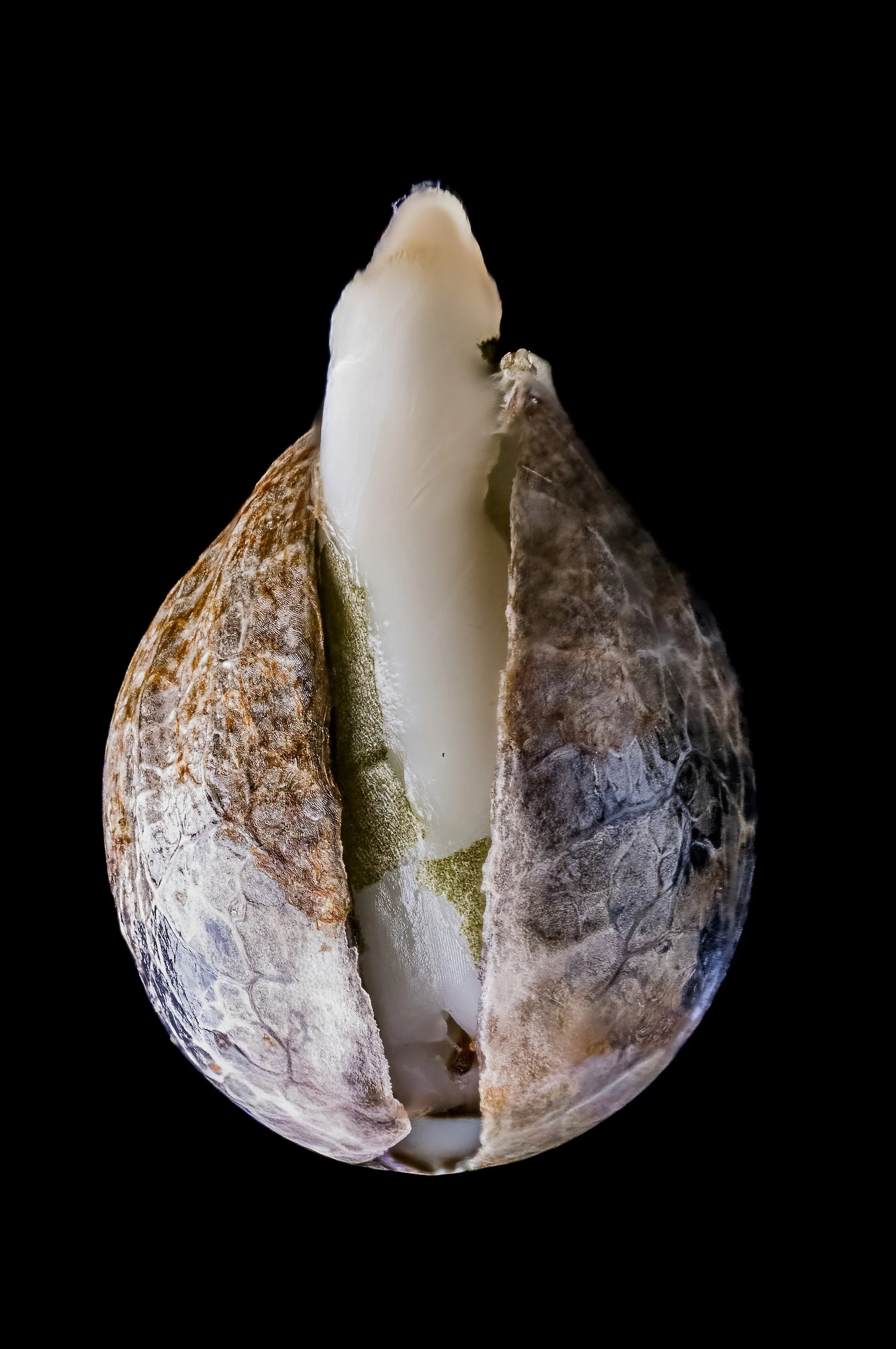 0356_0058_2025-10-11 00-28-05 (A,R12,S4)-1.JPG.JPG