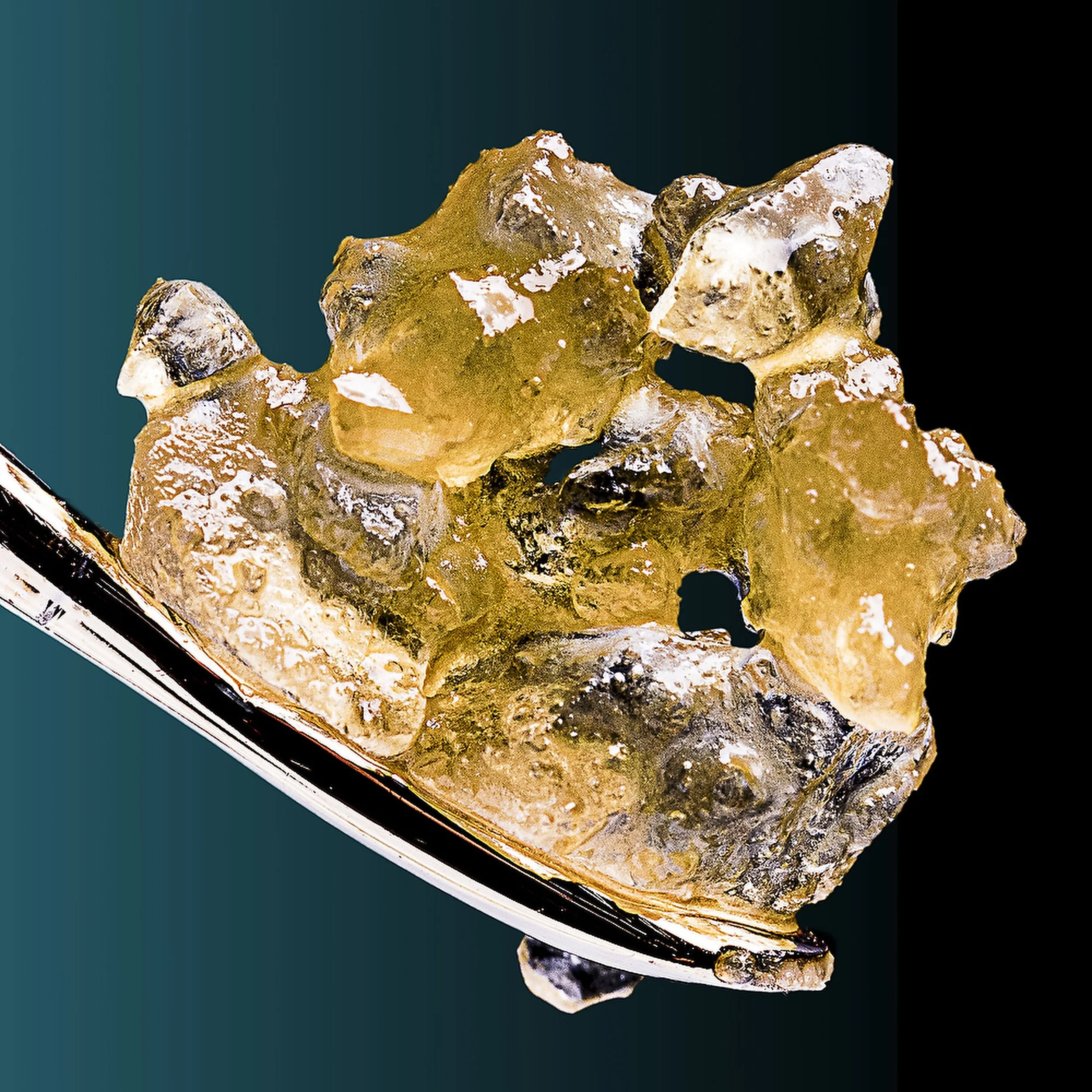 0407_0047_1H0A4643 copy-2.JPG.JPG