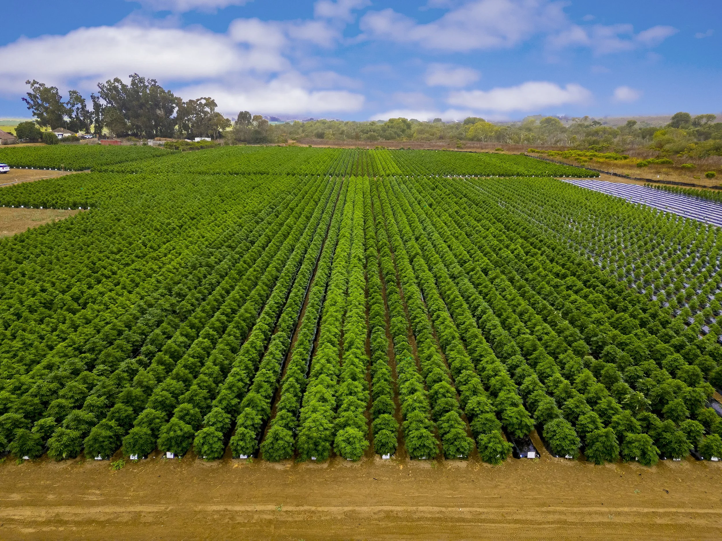 0132_DJI_0307-2 copy.jpg