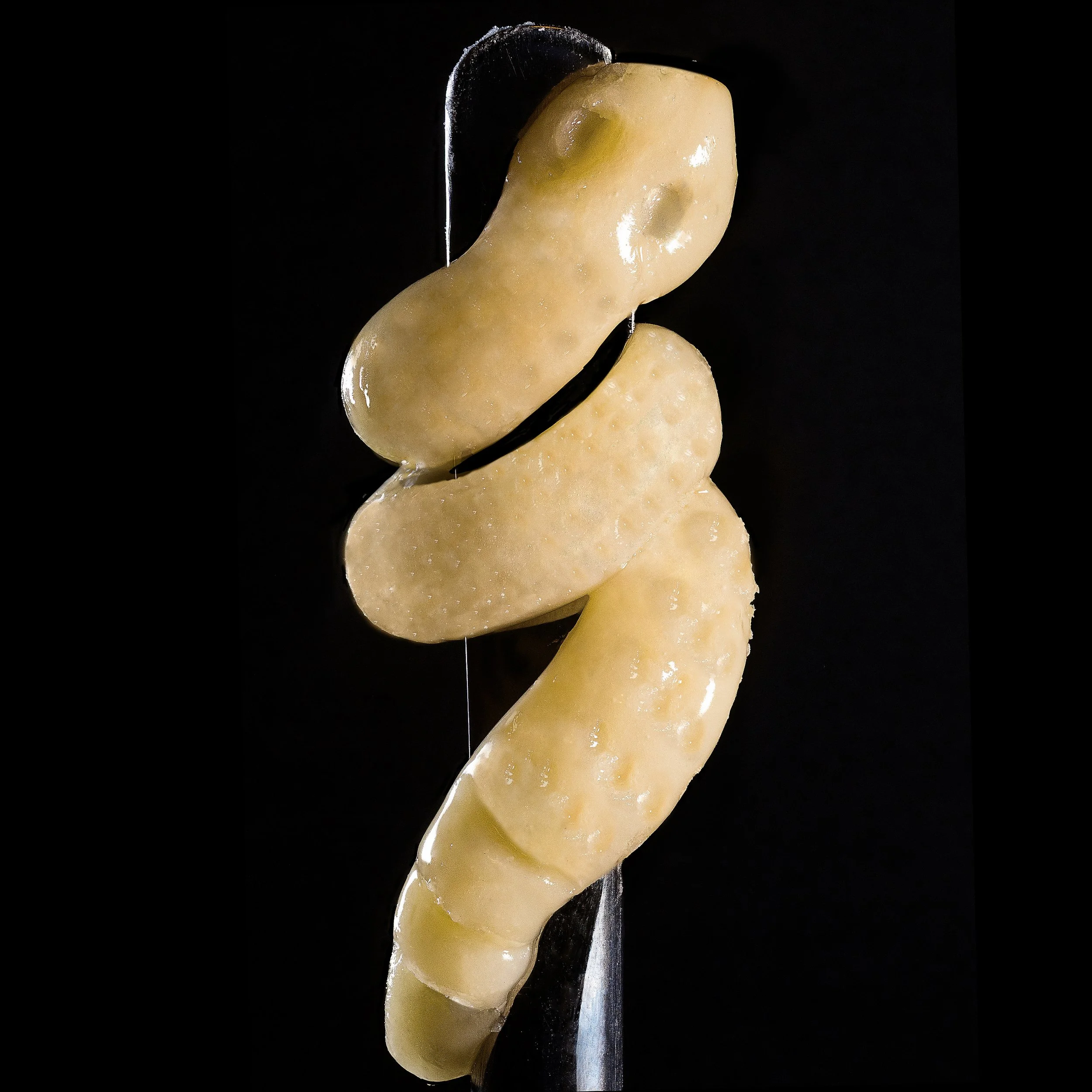 0389_0041_03_Champaya2025-01-20 14-33-06 (B,R8,S4)-1A.JPG.JPG