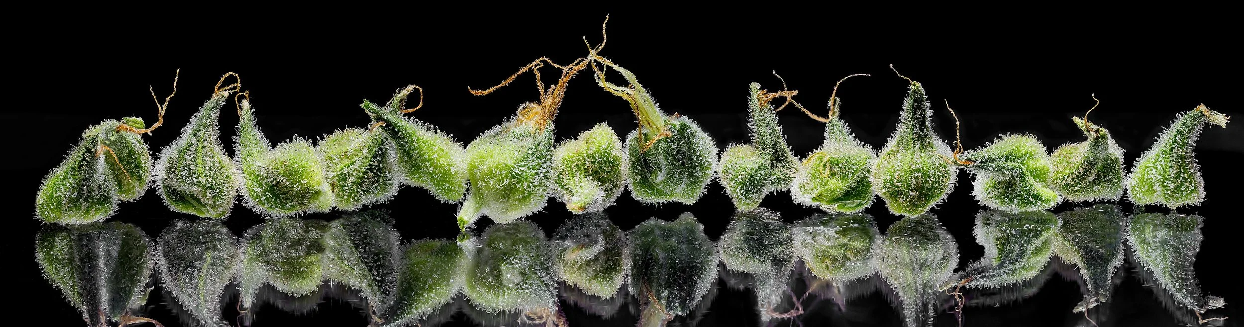 0130_D1_ Untitled_Panorama-1 copy.JPG