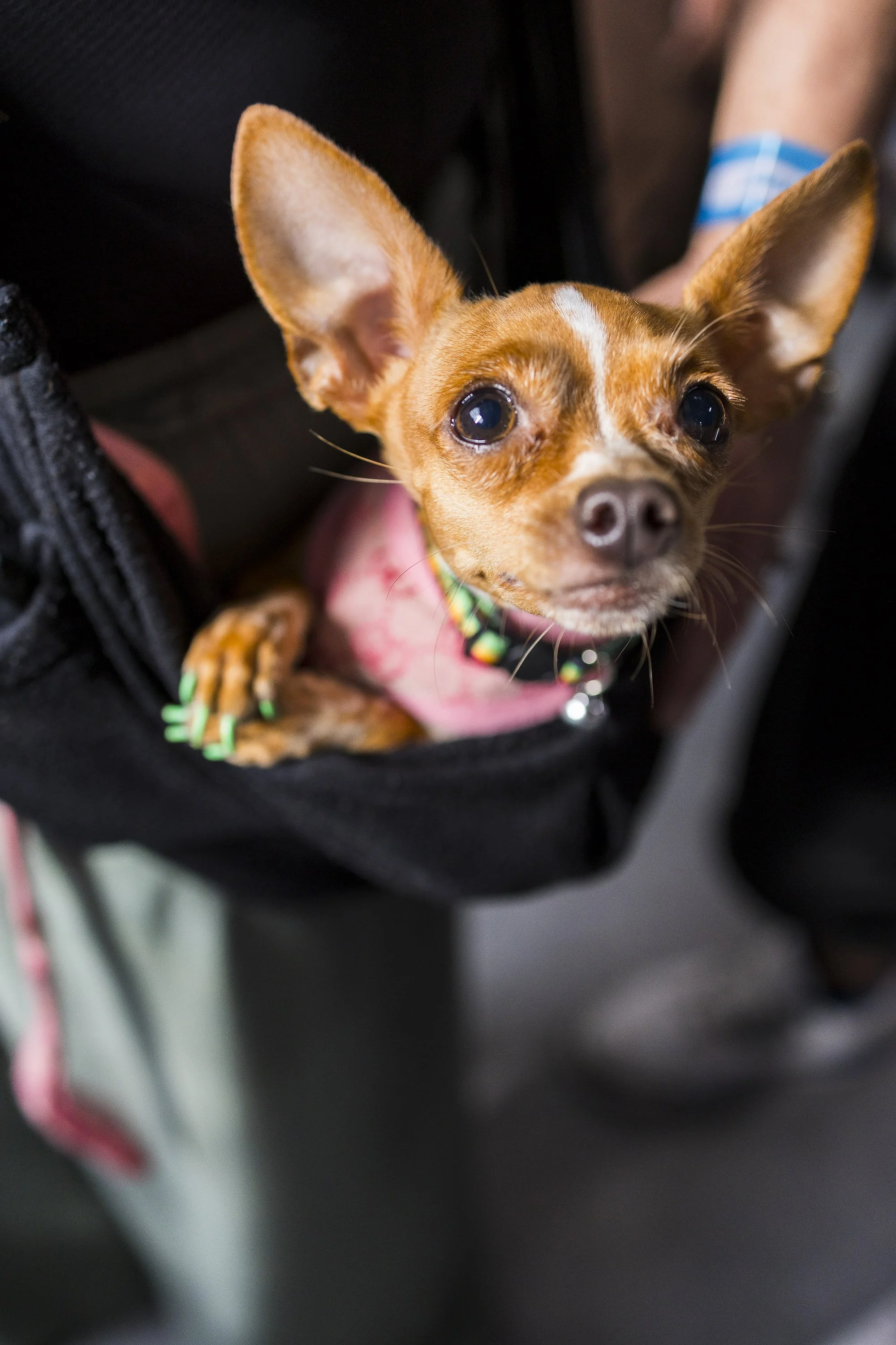 0324_250917_Network Show_0324.jpg