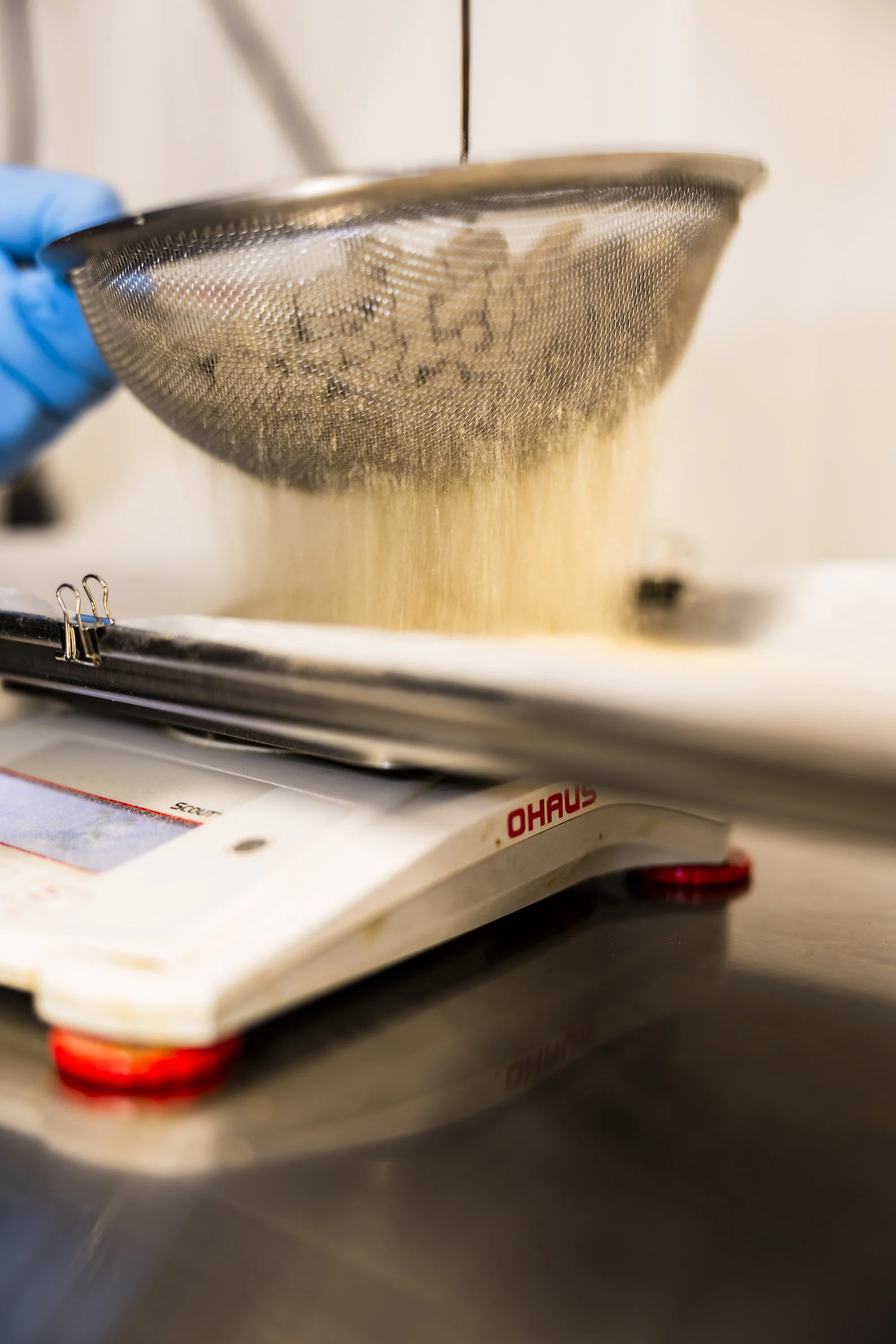 0074_250116_Motley Terpz_5610.jpg