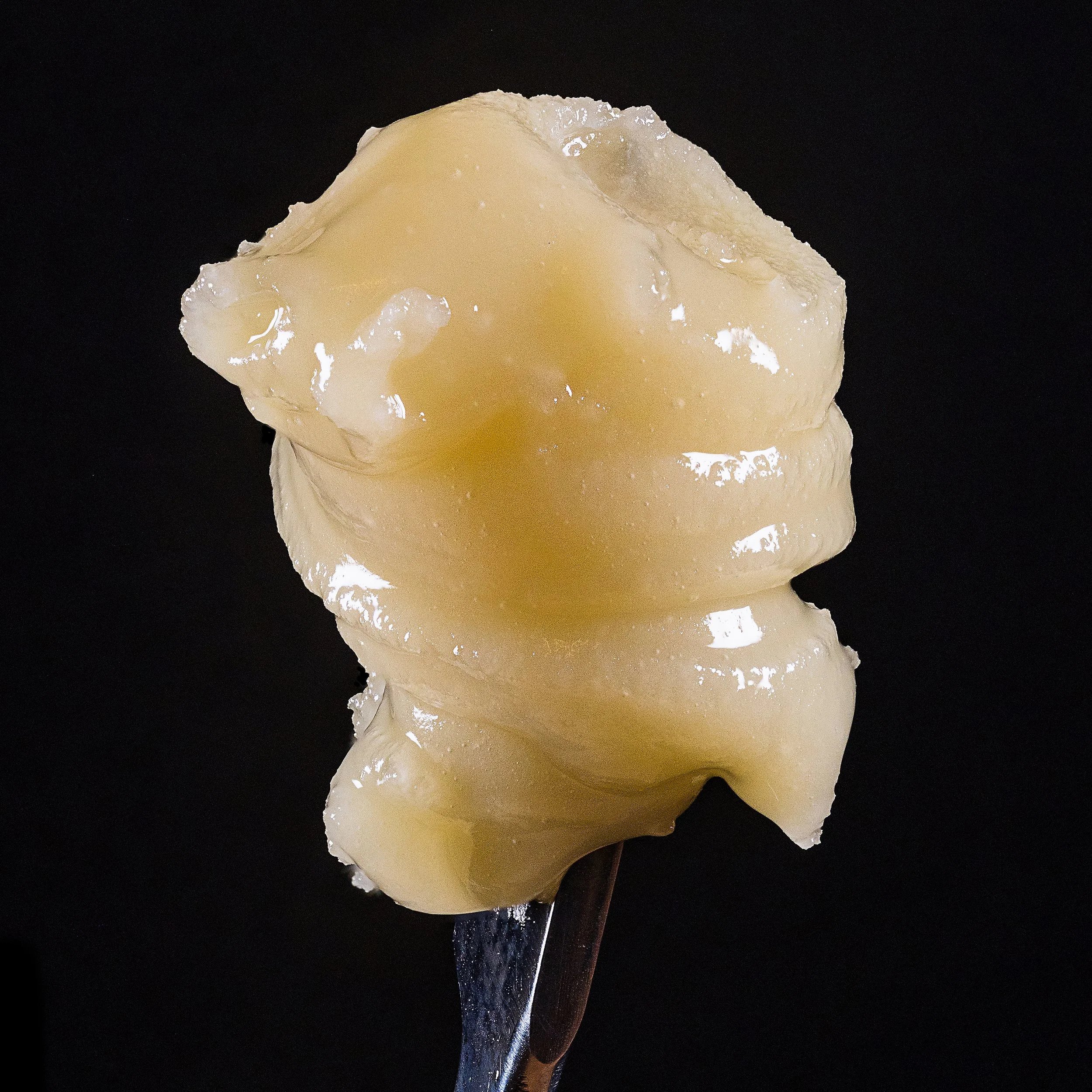 0383_0037_RushHour 2025-02-04 21-25-56 (B,R8,S4)-1.JPG.JPG