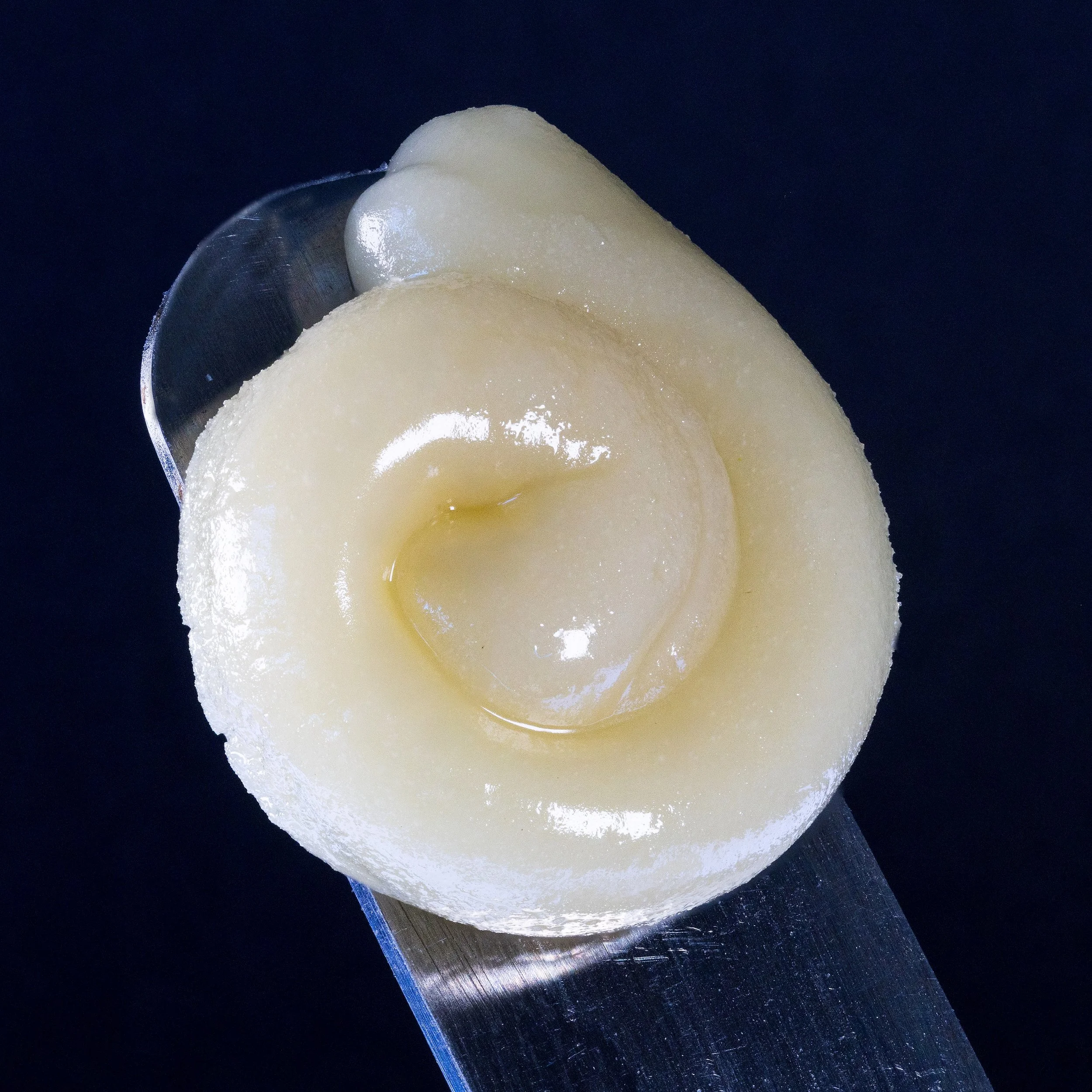 0392_0087_Rainbow Beltz_2025-04-02 13-01-30 (B,R8,S4).JPG.JPG