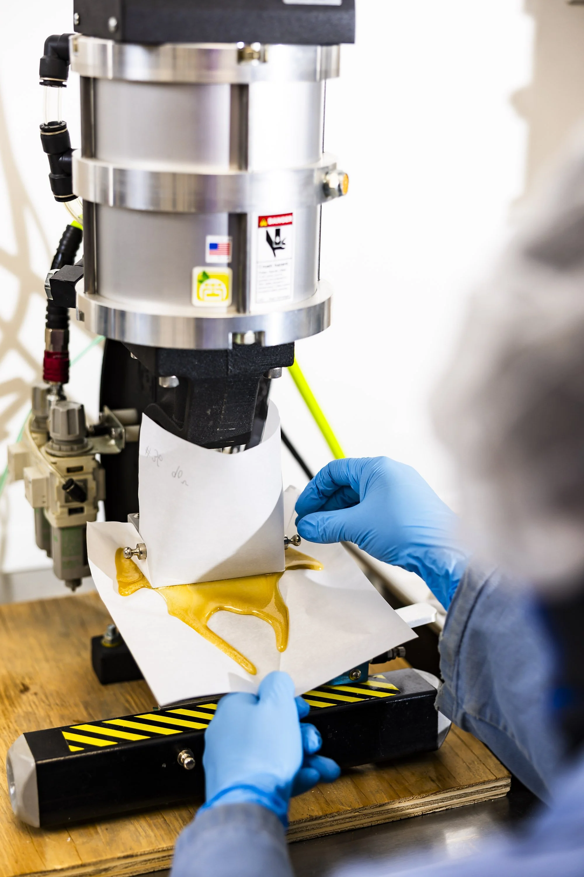 0077_250116_Motley Terpz_5724.jpg