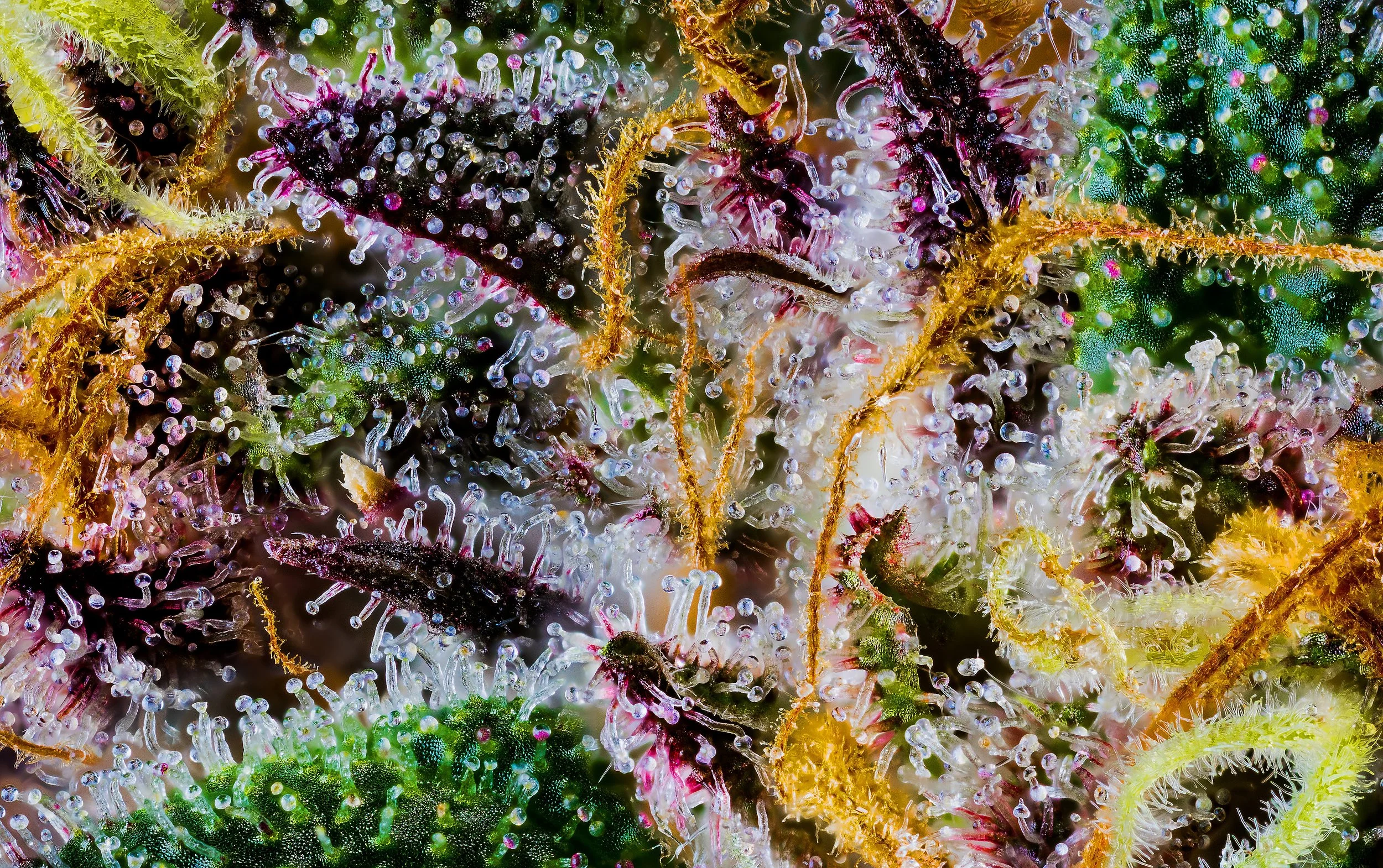 0364_0140_GT 2025-10-09 11-04-07 (A,R12,S4)-1 copy.JPG.JPG