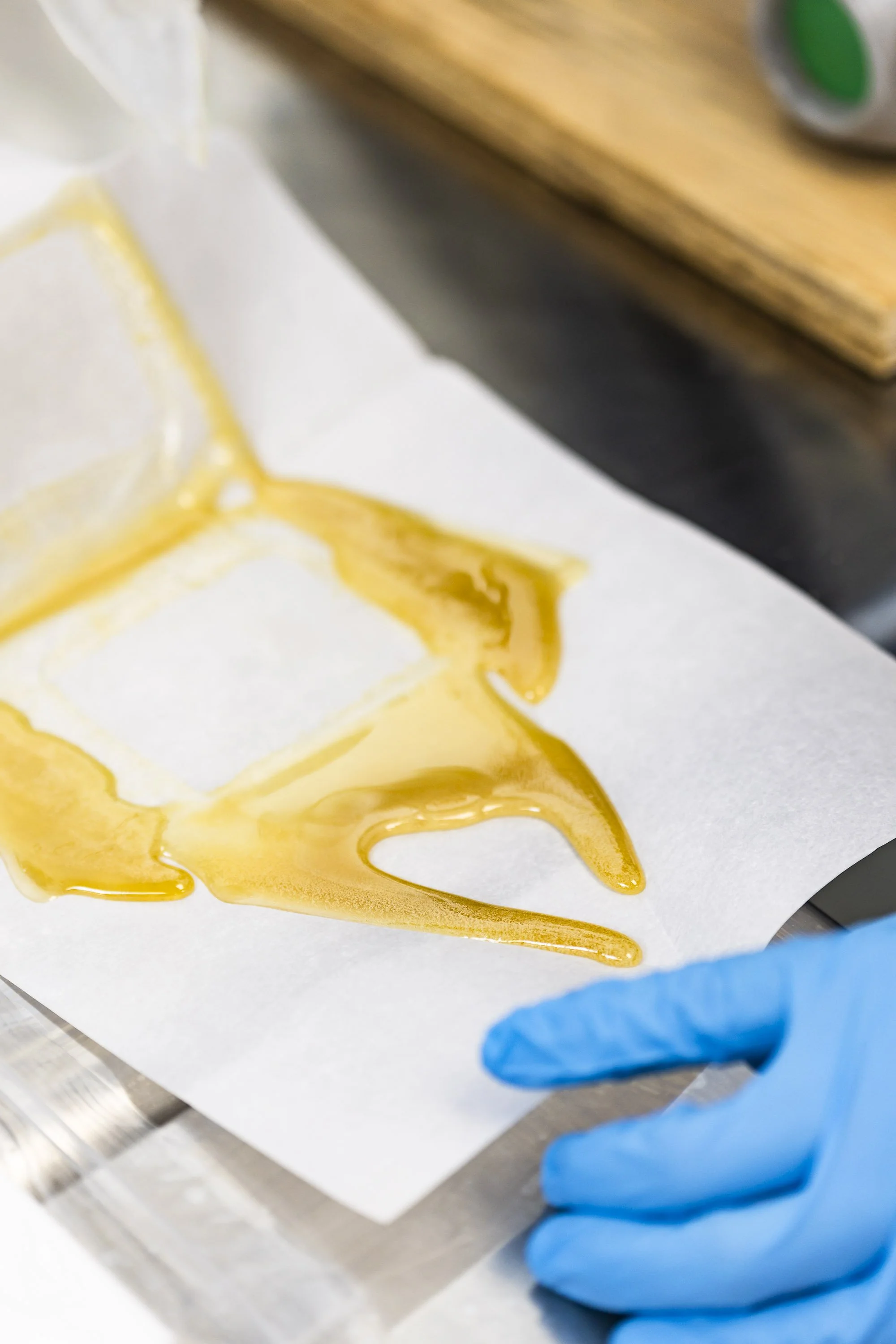 0031_250116_Motley Terpz_5735.jpg