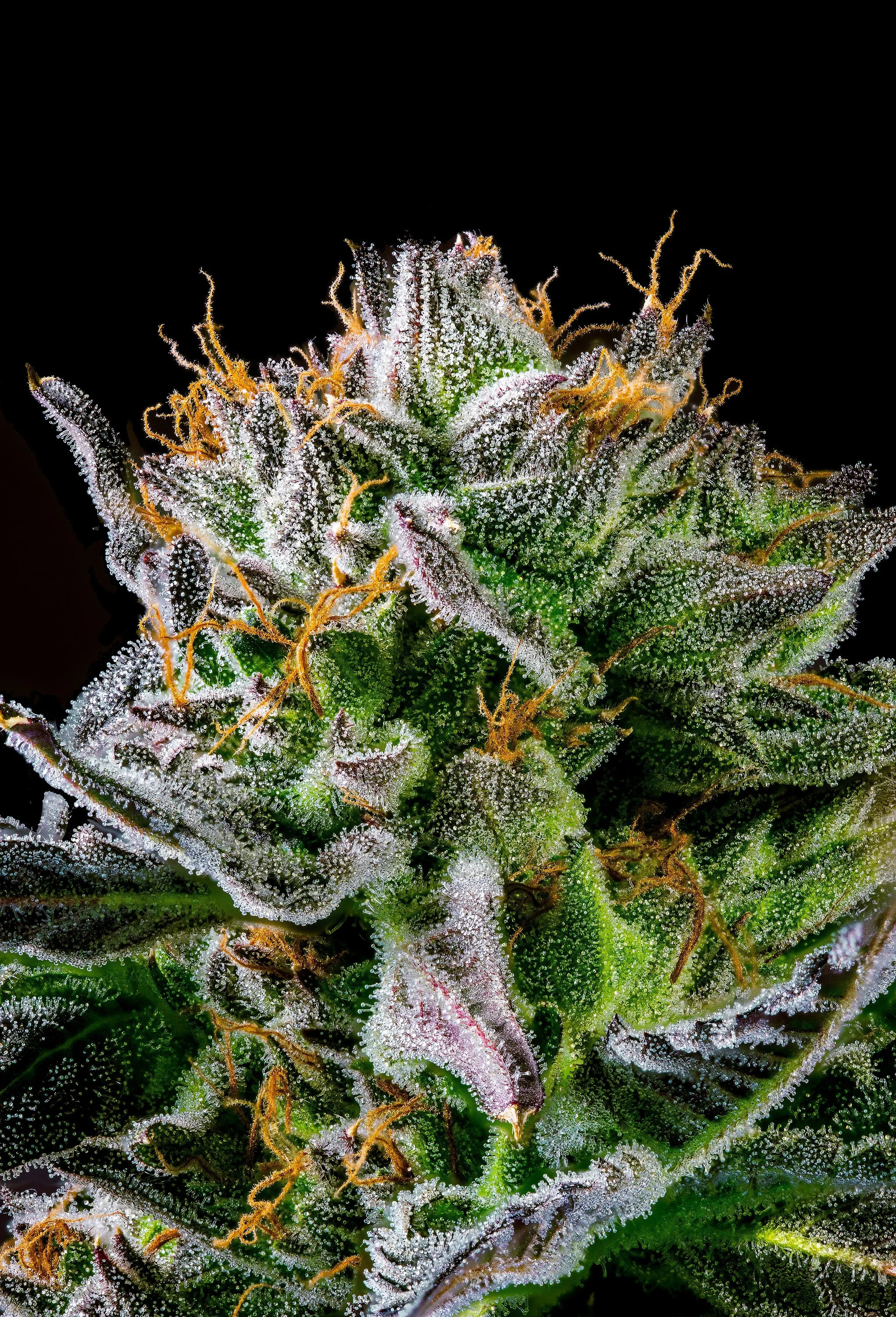 0406_0148_GT18 2025-10-07 12-13-00 (A,R12,S4)-1 copy.JPG.JPG