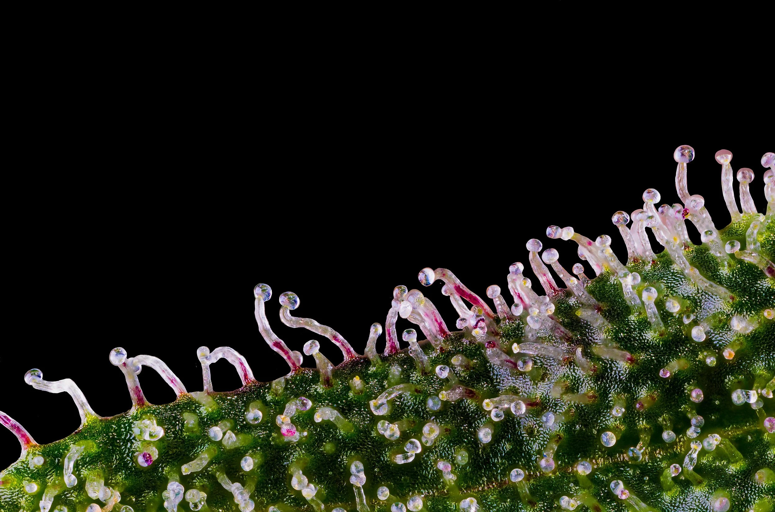 0358_0141_GT 2025-10-09 11-30-03 (A,R12,S4)-1 copy.JPG.JPG