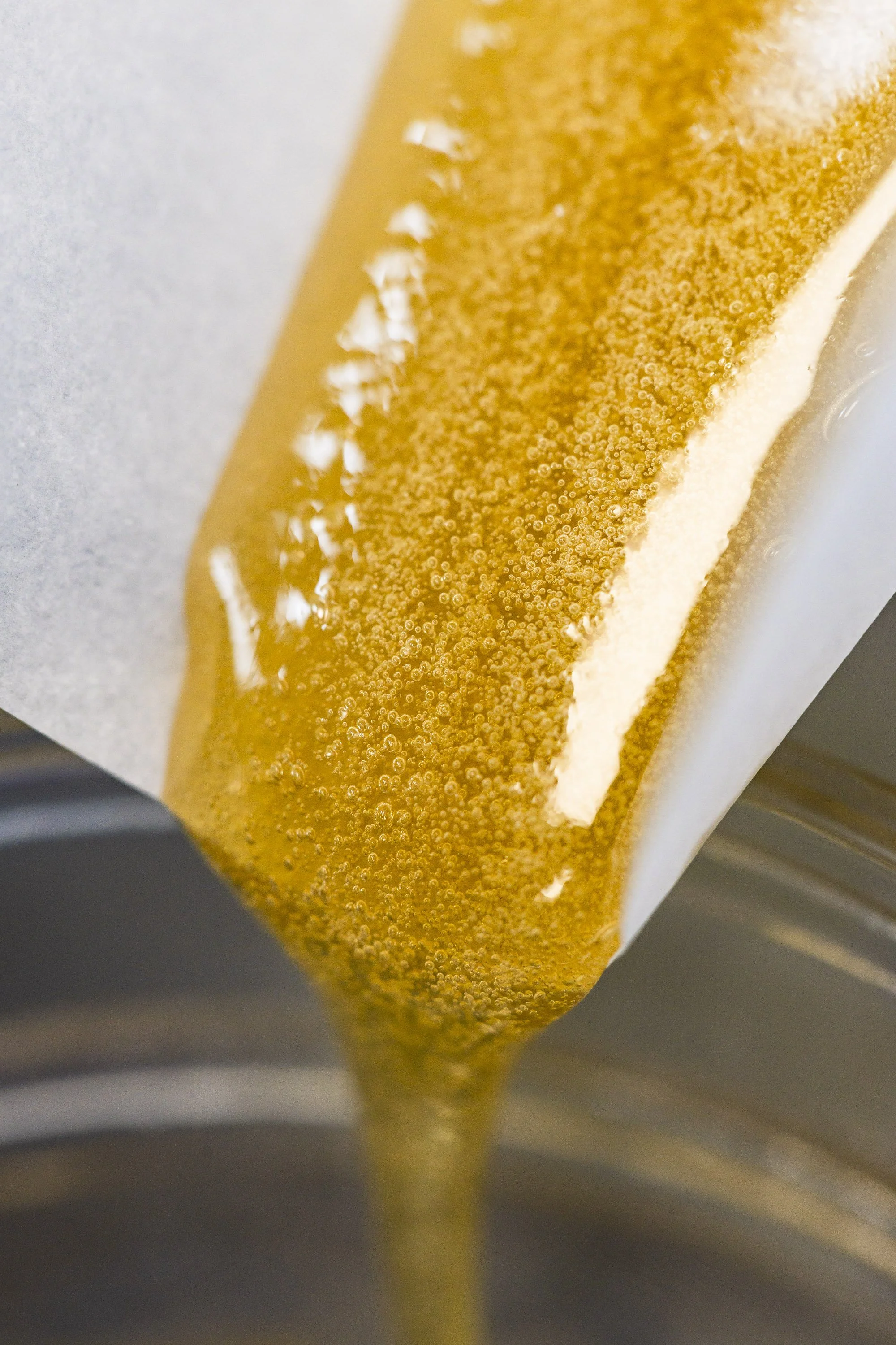 0032_250116_Motley Terpz_5785.jpg