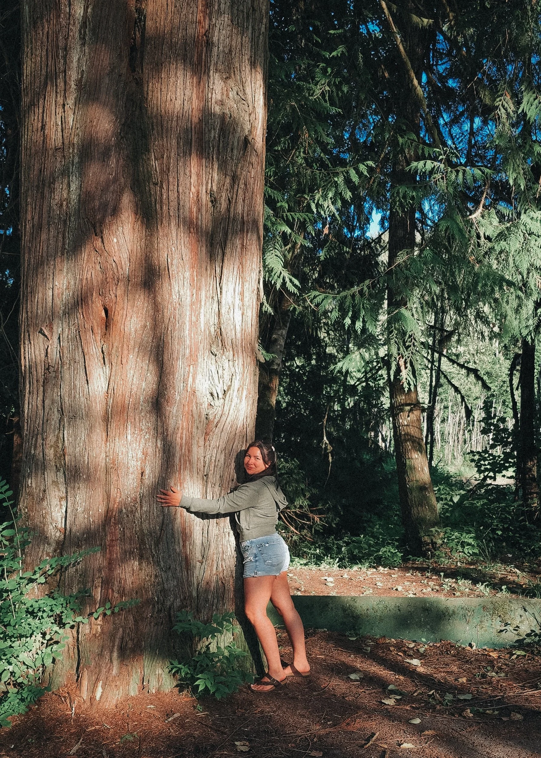 How Cedar &amp; Sea Came To Be…