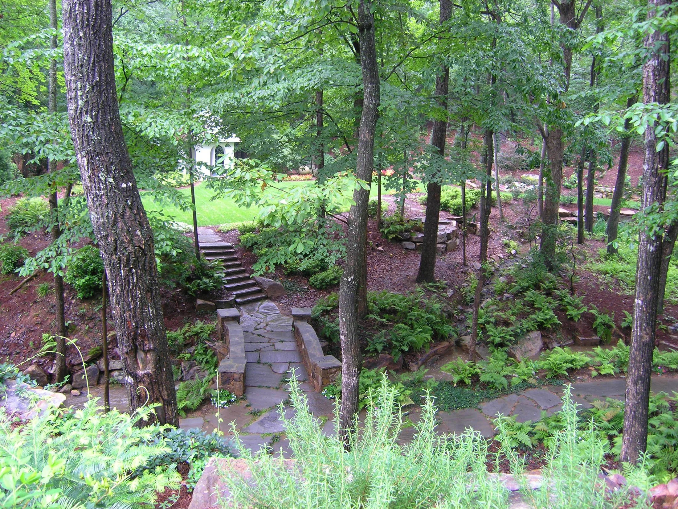A lush green backyard garden with stone steps leading to a small grassy area, surrounded by tall trees, shrubs, and ferns.