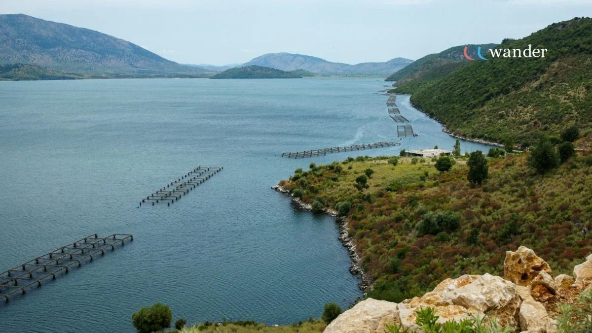 A large body of water with mountains in the background, and fish farming structures floating on the water's surface. There is green vegetation on the hillside in the foreground.