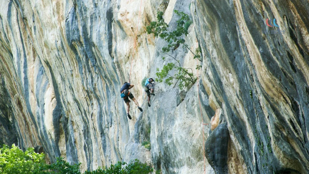 Two rock climbers are ascending a steep, striped rock face with a few small trees growing nearby.