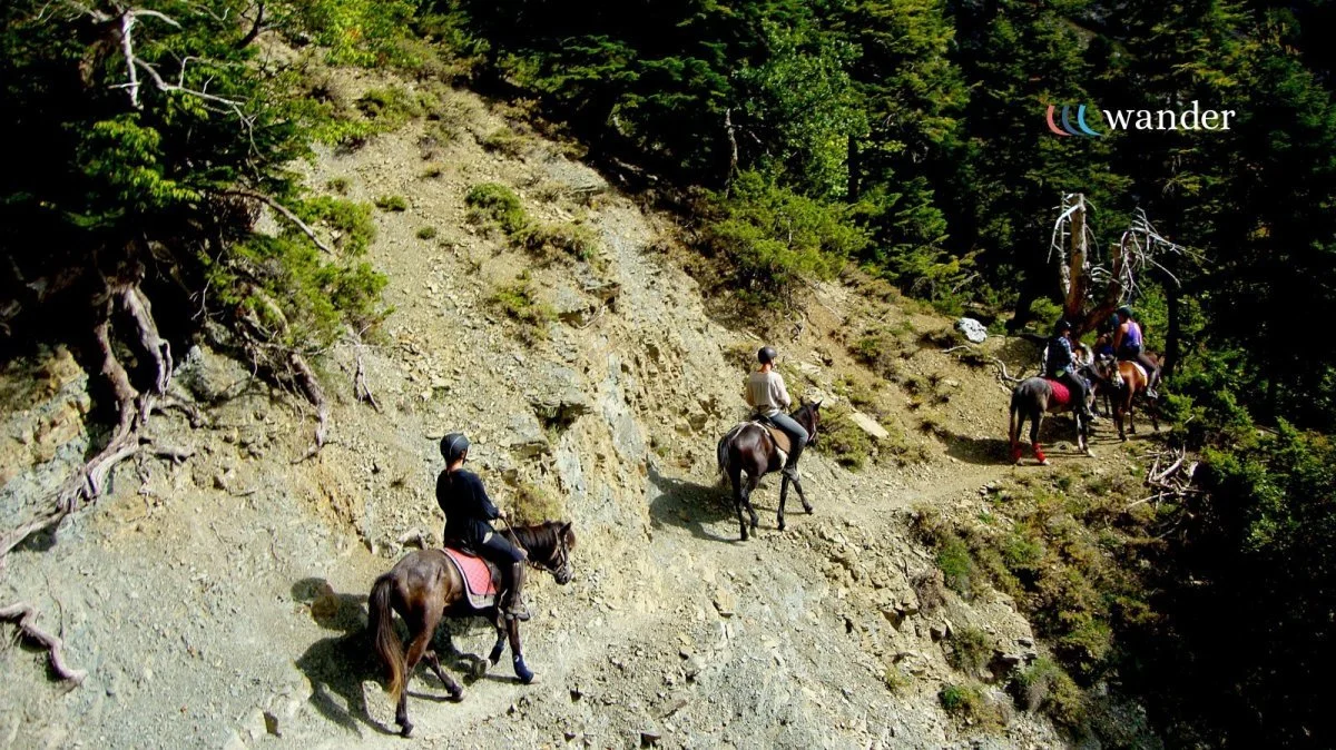 Erosion on mountain trail with four people riding horses and green trees in the background.