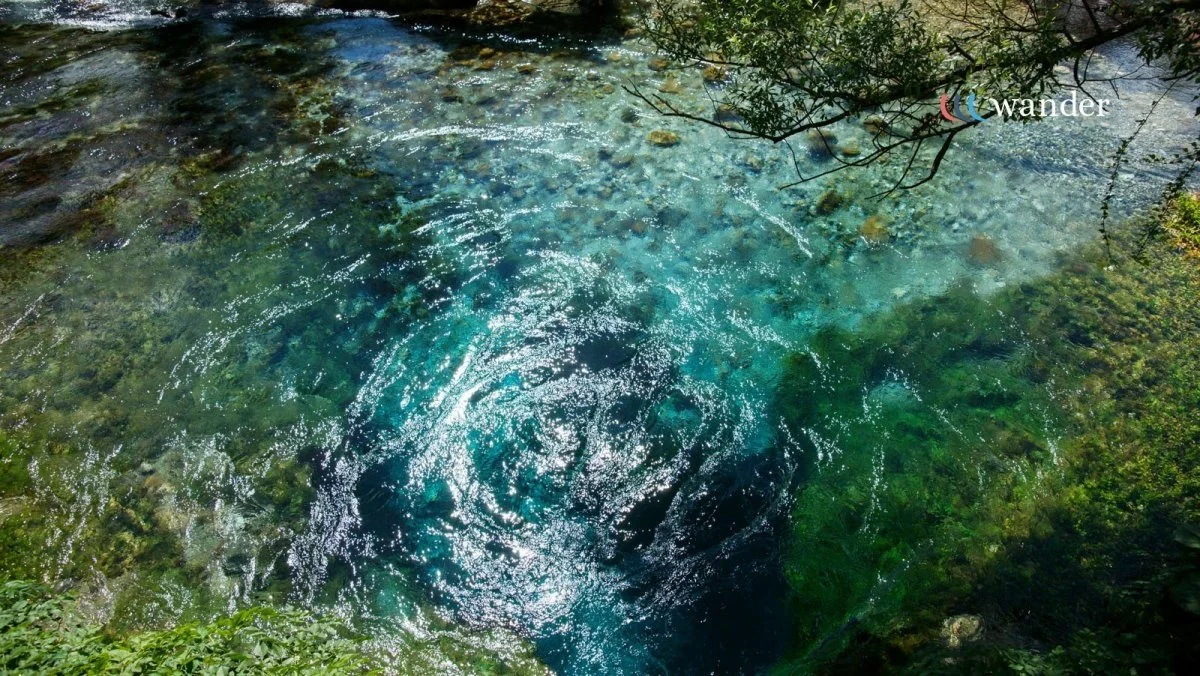 Clear blue water with rocks and green algae at the edge of a river or pond, with overhanging tree branches.